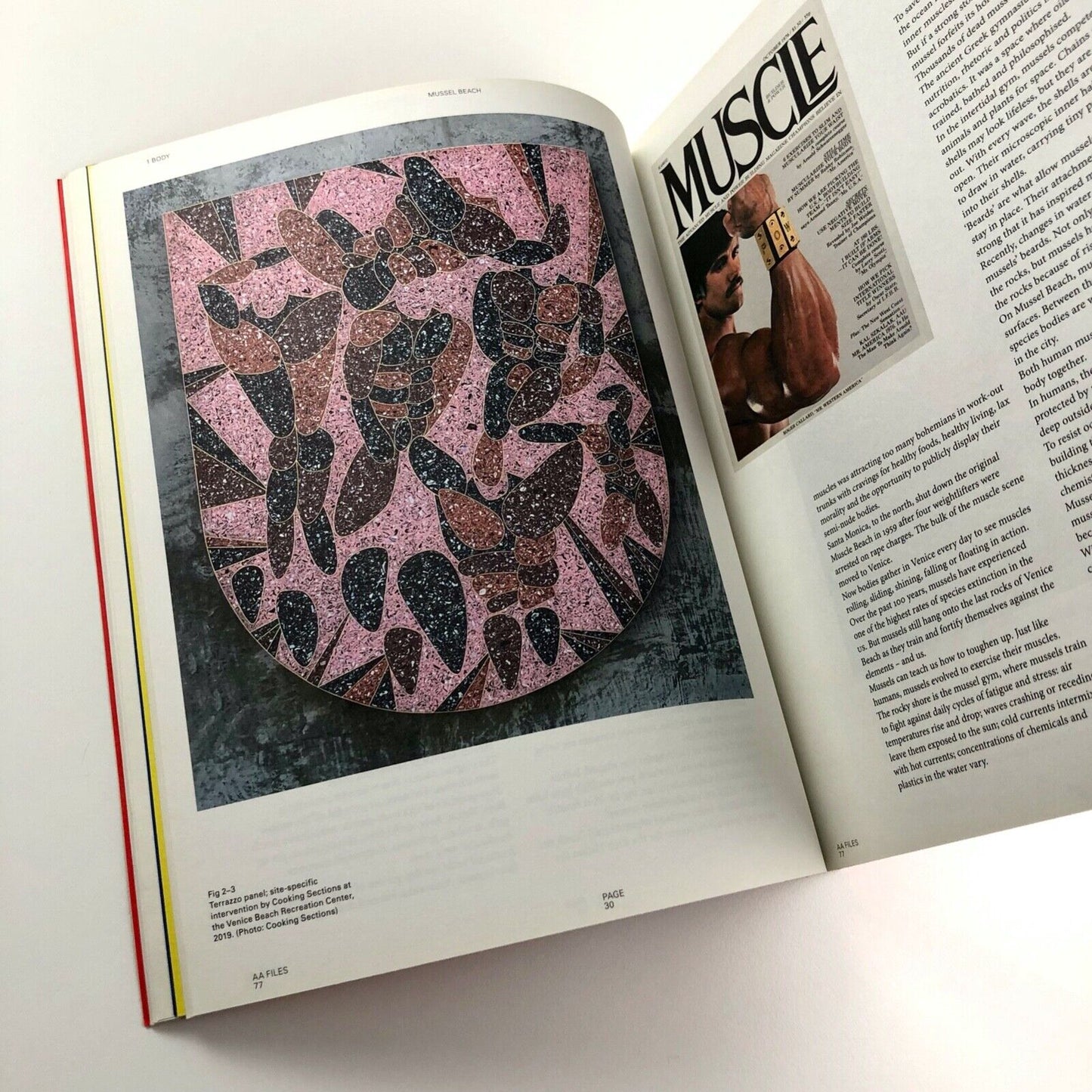 AA Files No. 77 | Architectural Association journal, 2020 | Editor Maria Sheherazade Giudici