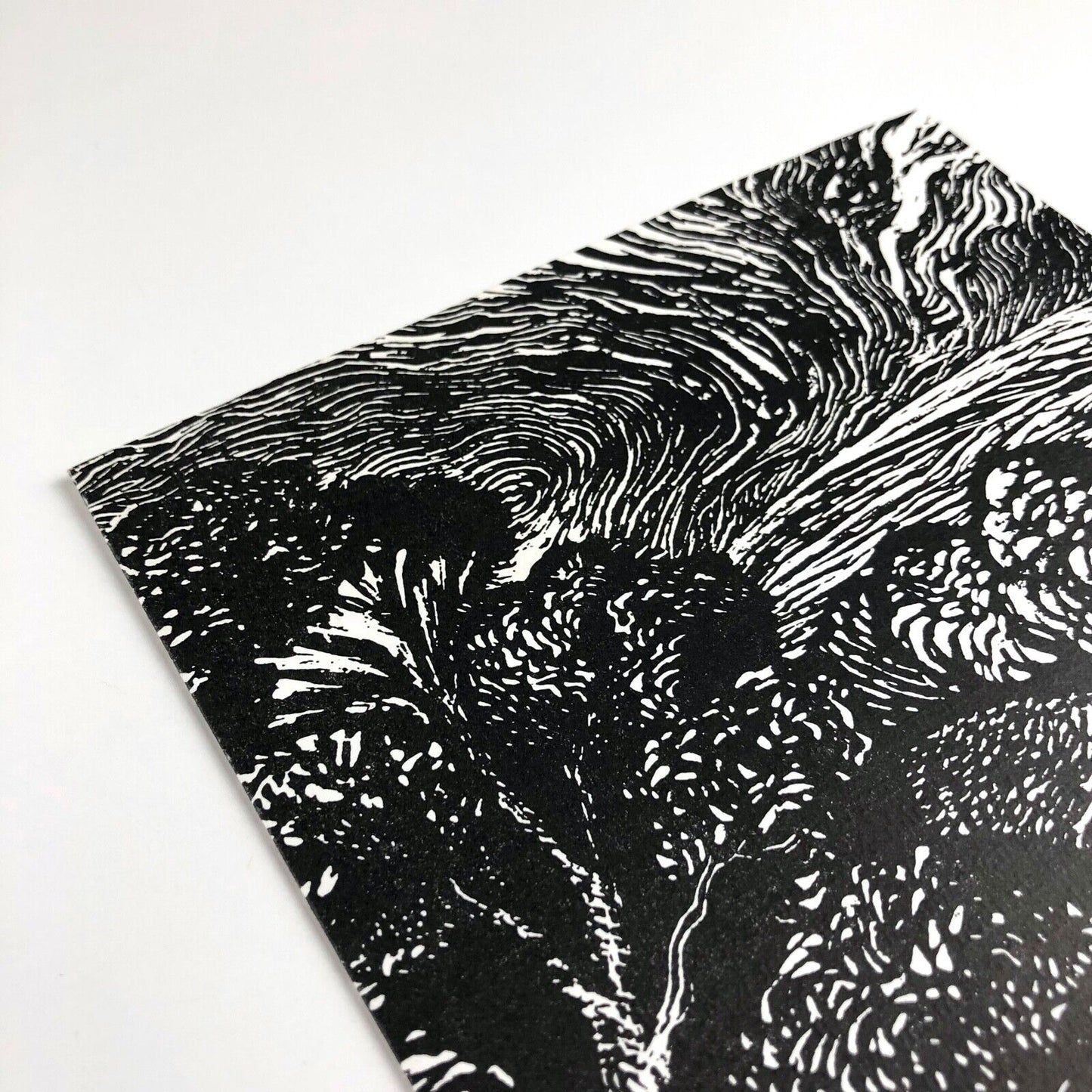 Leaflet to promote A Handful of Hares | Anne Cathcart | Inky Parrot Press, 2009
