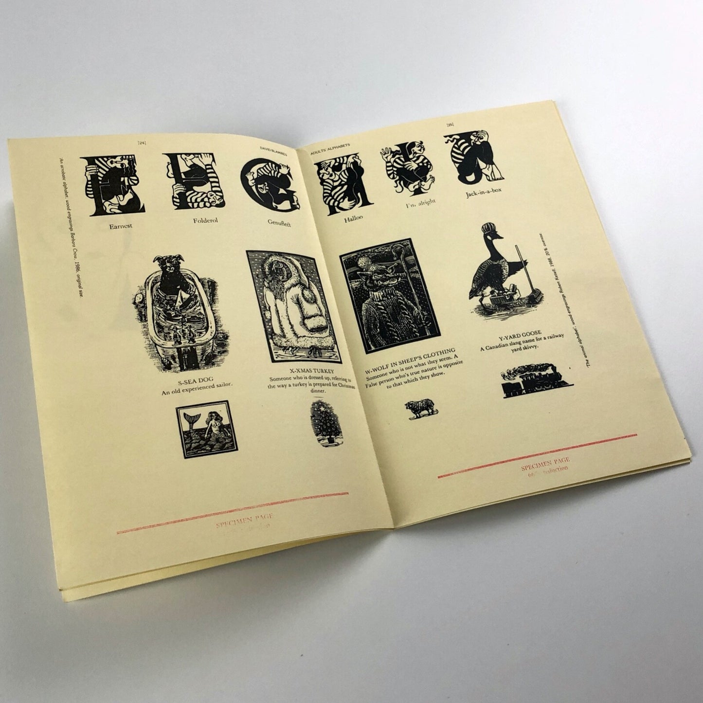 David Blamire's Adults' Alphabets | Hanborough Parrot Press | Prospectus 1990