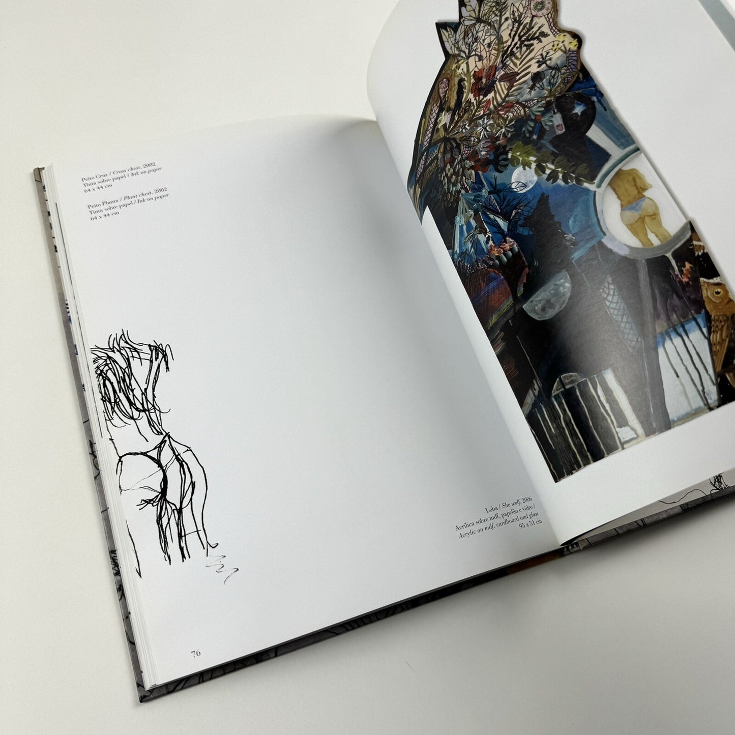 Erika Verzutti | Cobogó, 2007