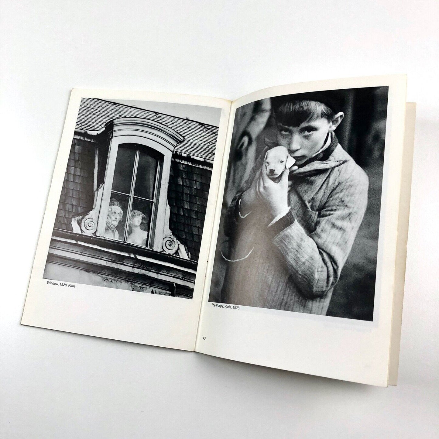 André Kertsész – A Ninetieth Birthday Celebration | Photography exhibition, 1984