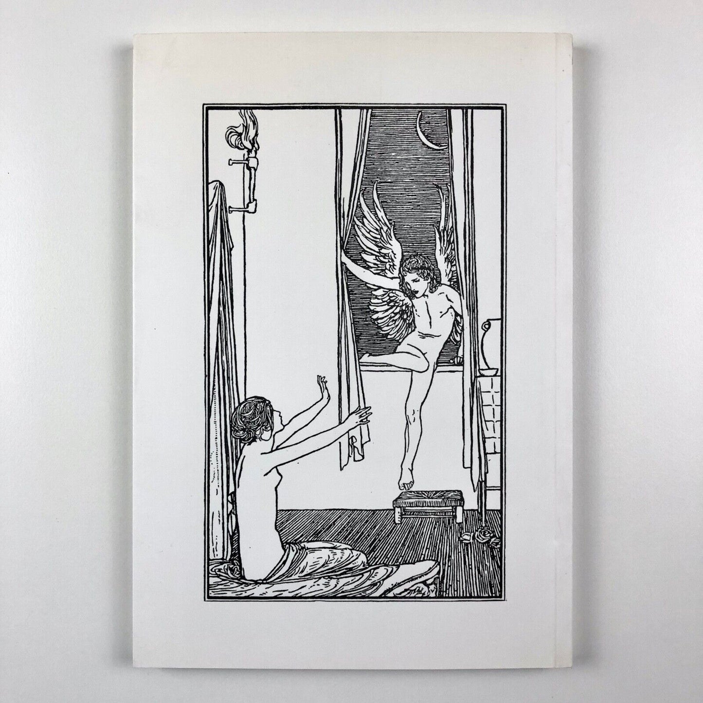 Imaginative Book Illustration Society (IBIS). Edwardian Illustration, 2002