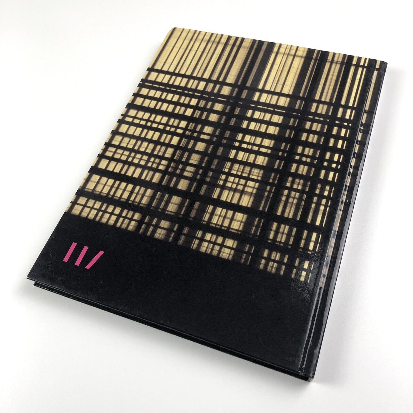 How to Disappear Completely: New Work by Rachel Howard Haunch of Venison Gallery