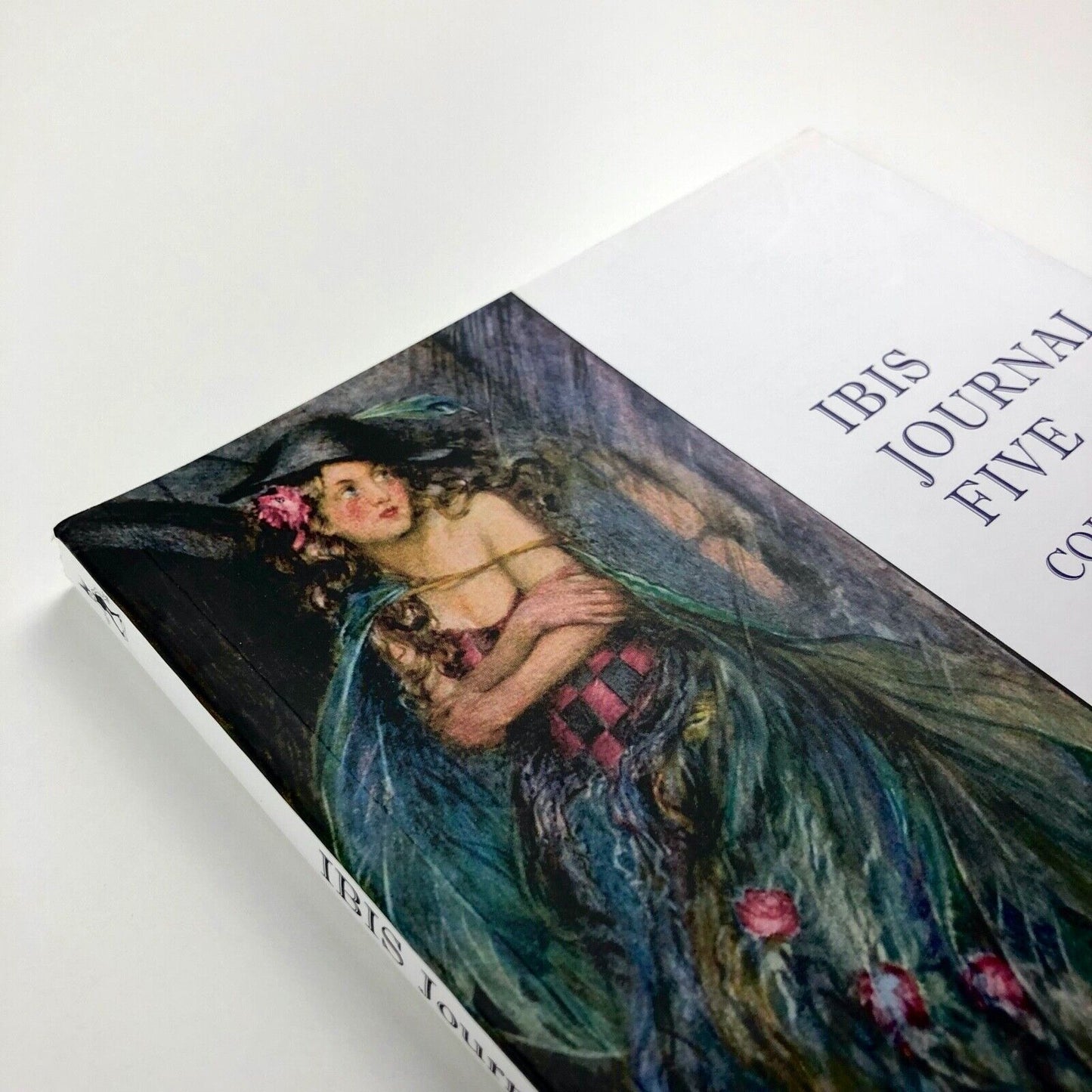 Imaginative Book Illustration Society (IBIS) Journal 5 – Colour and Line, 2014