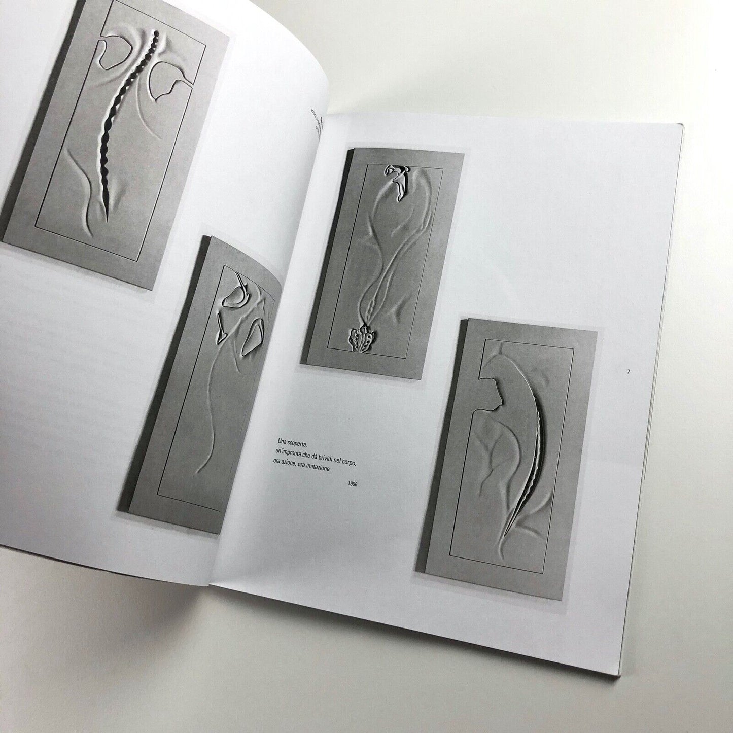 Domenico Borrelli exhibition catalogue | Studio Recalcati, Torino, 1998