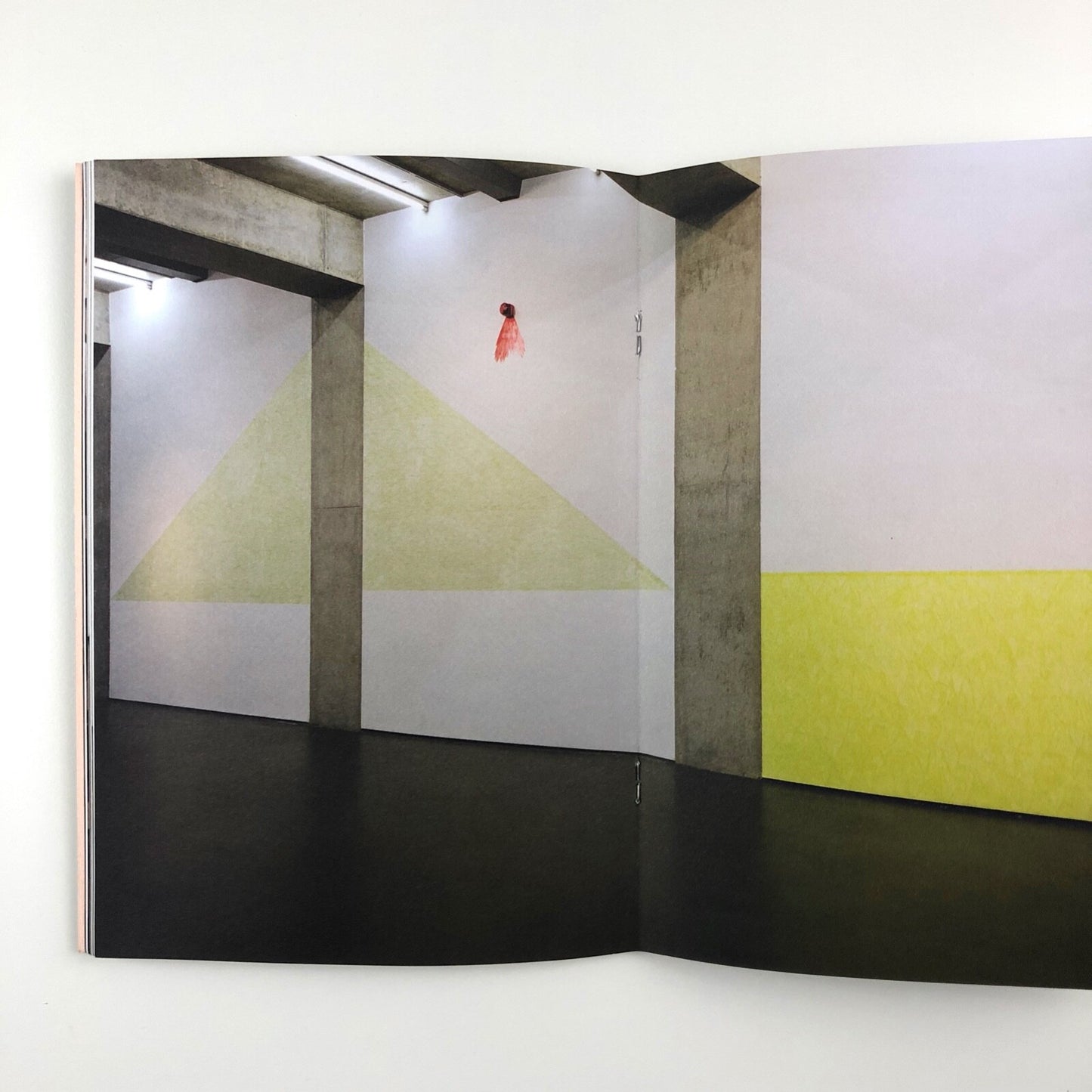 Dependent Rational Animals Roxy Walsh and Sally Underwood | Towner Gallery catalogue, 2013