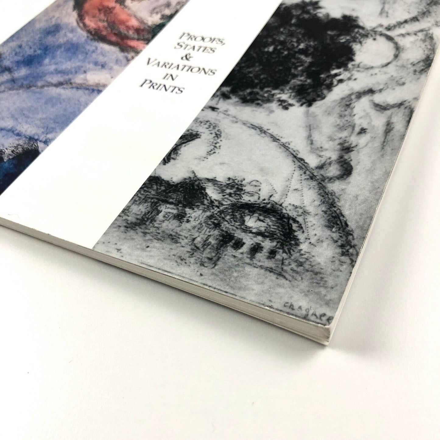 The Malleable Medium Proofs States & Variations in Prints | Theodore B. Donson, 1999