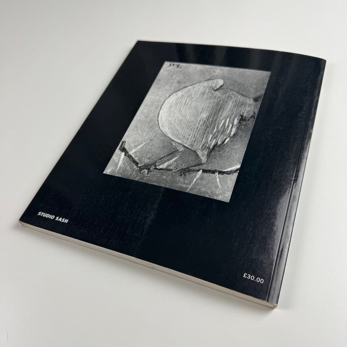 Cecily Sash - Working Years | ed. Victor Thorne | Studio Sash, 1999