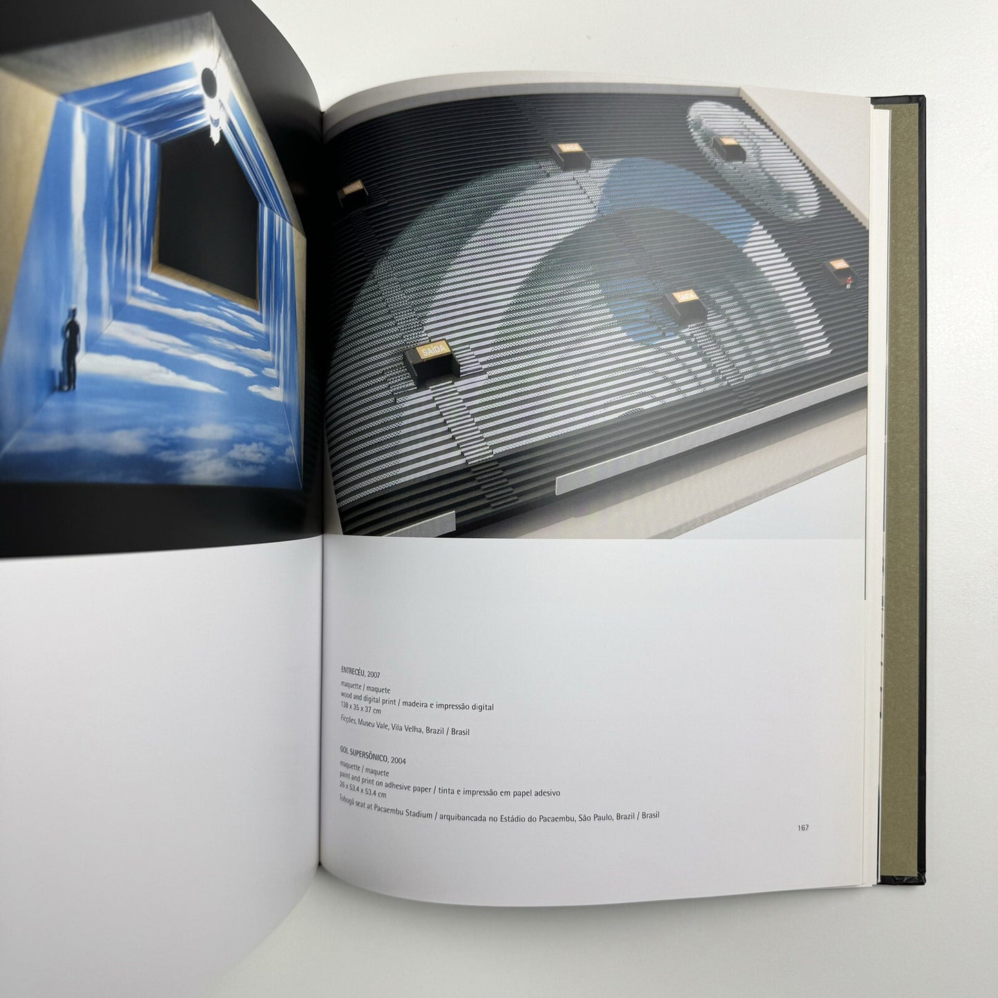 Regina Silveira | Text by Luciana Brito, Adolfo Montejo Navas et al | Charta, 2011