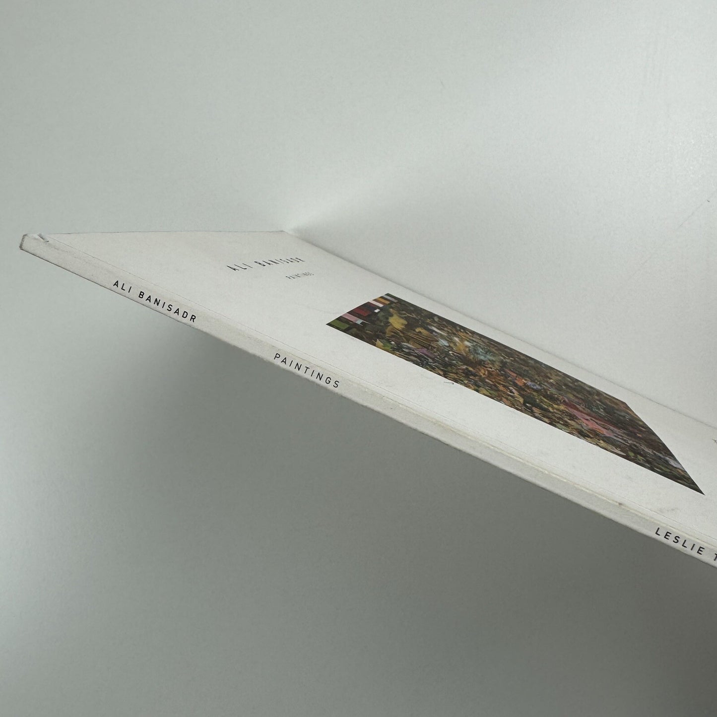 Ali Banisadr Paintings | Leslie Tonkonow Artworks + Projects New York 2008 catalogue