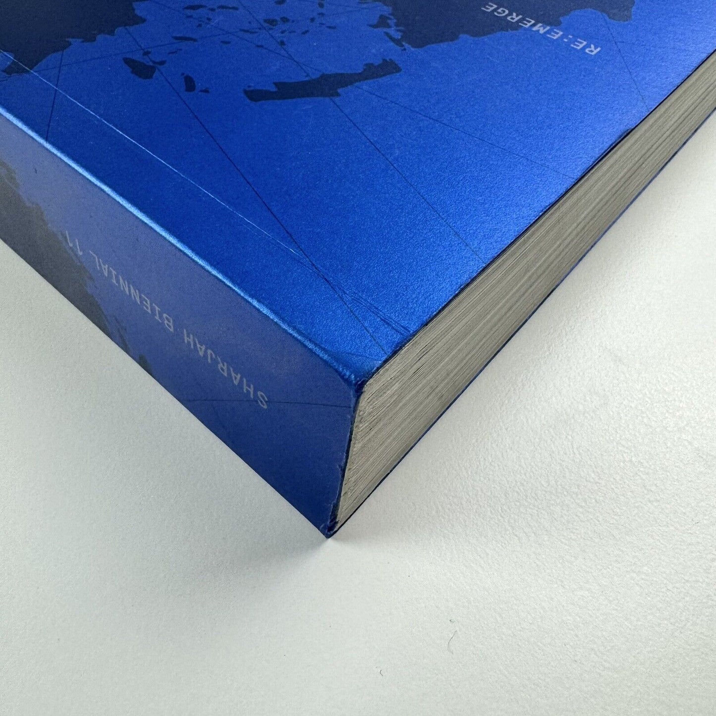 Re-emerge: Towards a New Cultural Cartography | Sharjah Art Foundation catalogue, 2013