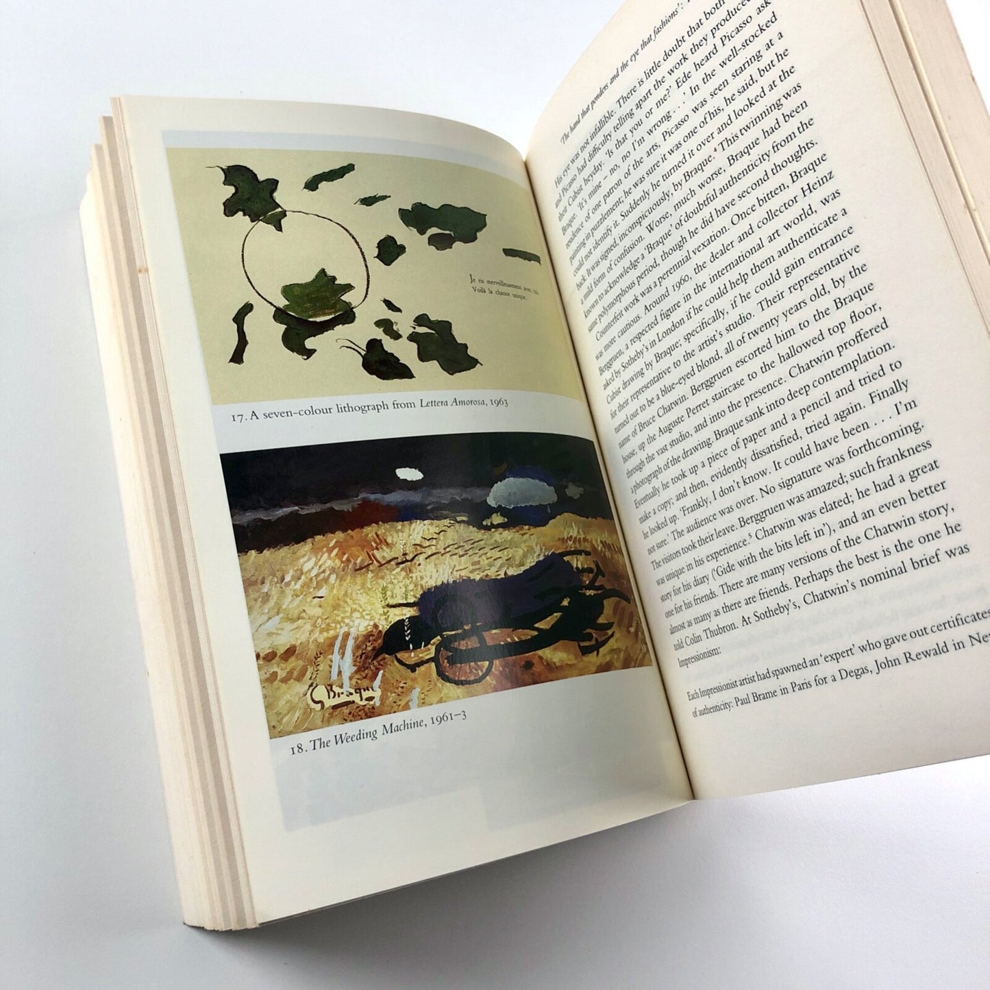 Georges Braque: A Life | Alex Danchev Penguin 2007