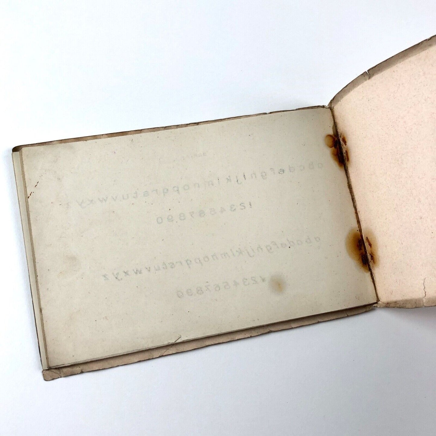 The Ornamental Penman's Pocket Book of Alphabets: Engravers, Sign Writers and Draughtsmen | Benjamin Alexander
