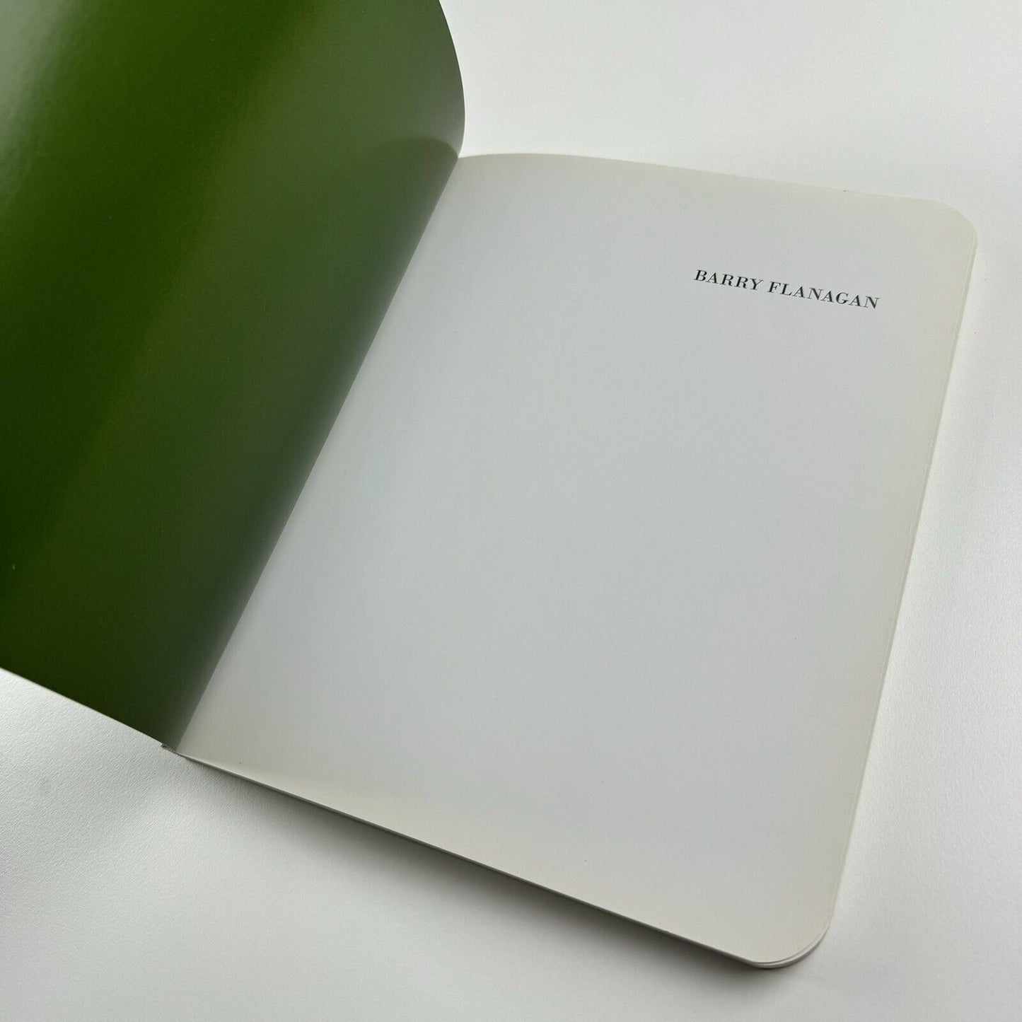 Barry Flanagan Works 1966-2008 | Waddington Galleries, 2010