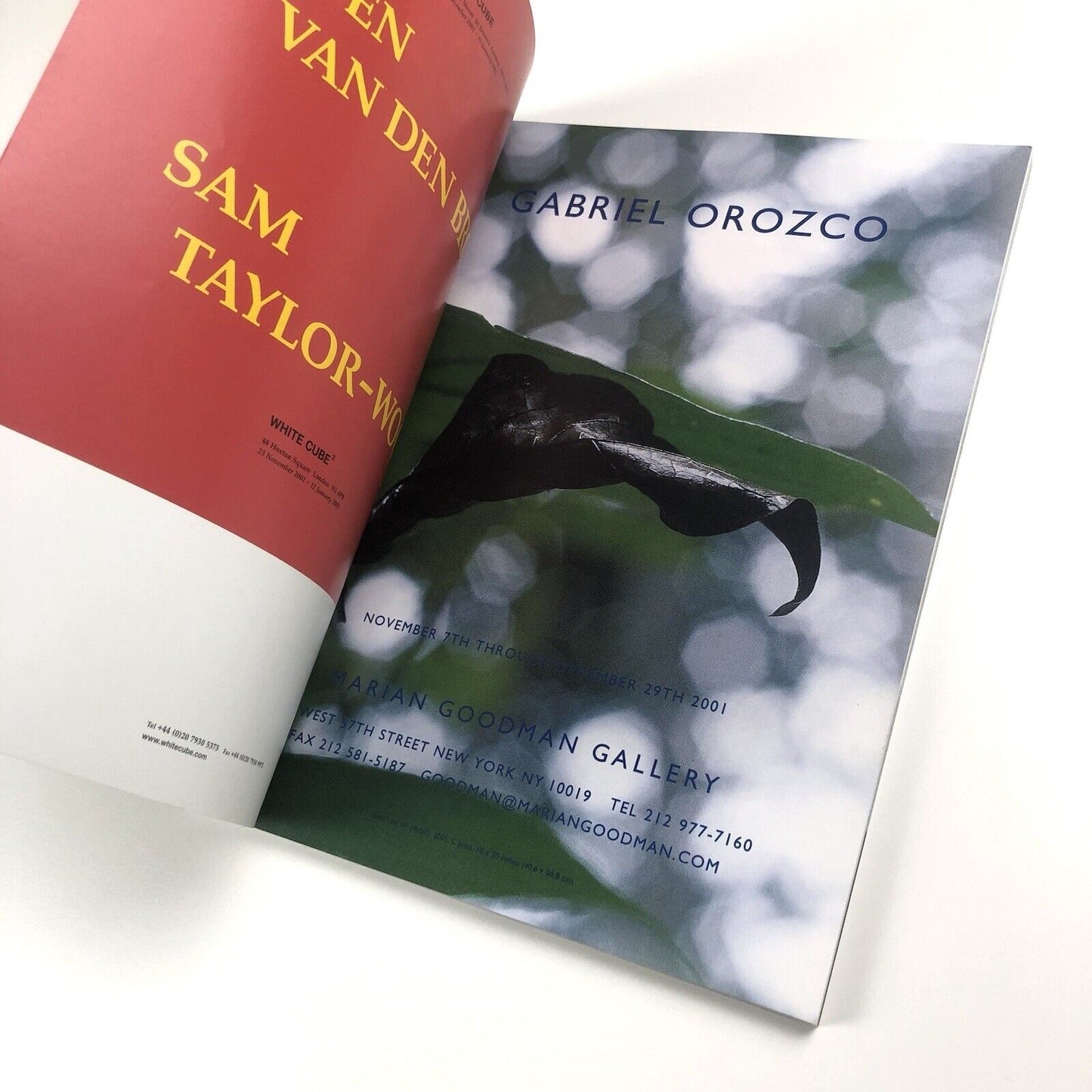 Frieze magazine – Tenth Anniversary issue, November–December 2001
