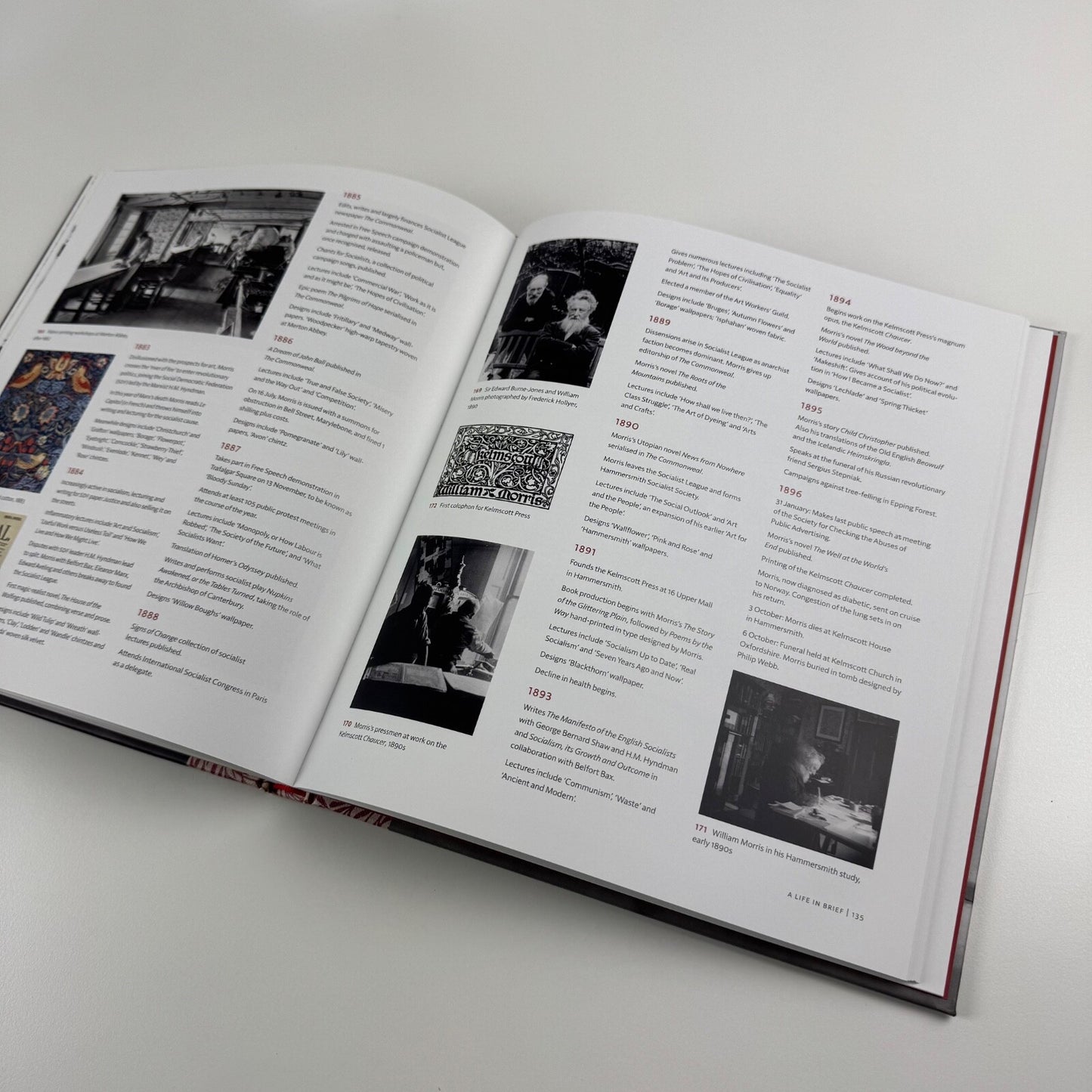 Anarchy & Beauty. William Morris and his Legacy 1860-1960 by Fiona MacCarthy | National Portrait Gallery | Yale University Press, 2014