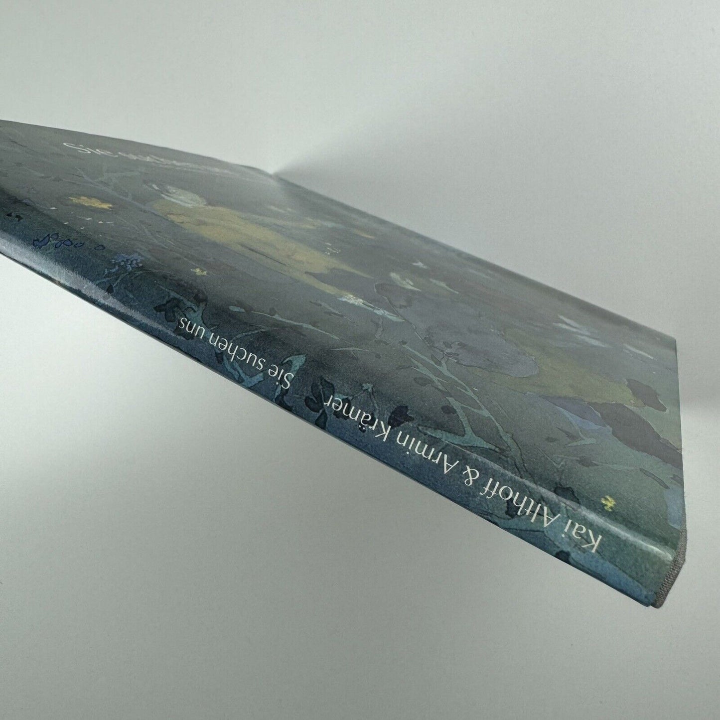 Sie suchen uns. Eine Geschichte von Armin Krämer zu Bildern von Kai Althoff | Galerie Neu, Berlin, 2001