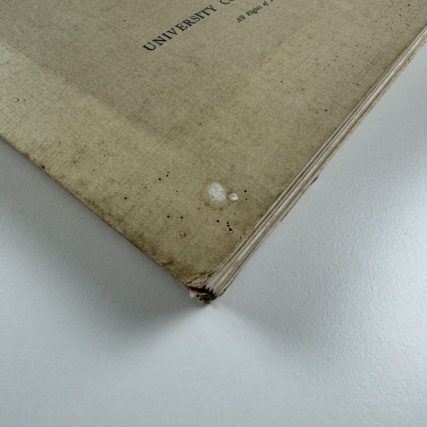 The Slade. A Collection of Drawings and some Pictures Done by Past and Present Students of the London Slade School of Art – MDCCCXCIII to MDCCCCVII | 1907, limited edition
