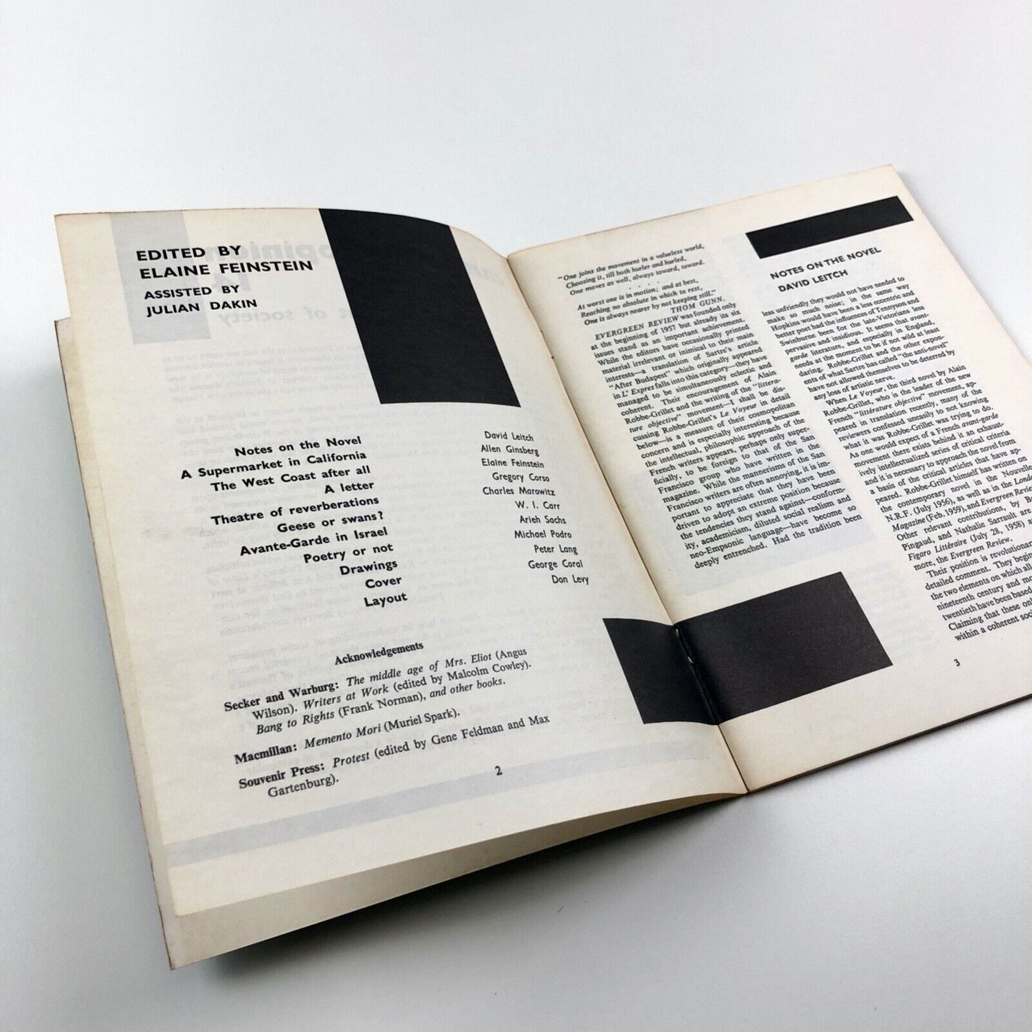 Cambridge Opinion magazine No. 14 | The writer out of society | Editor Elaine Feinstein