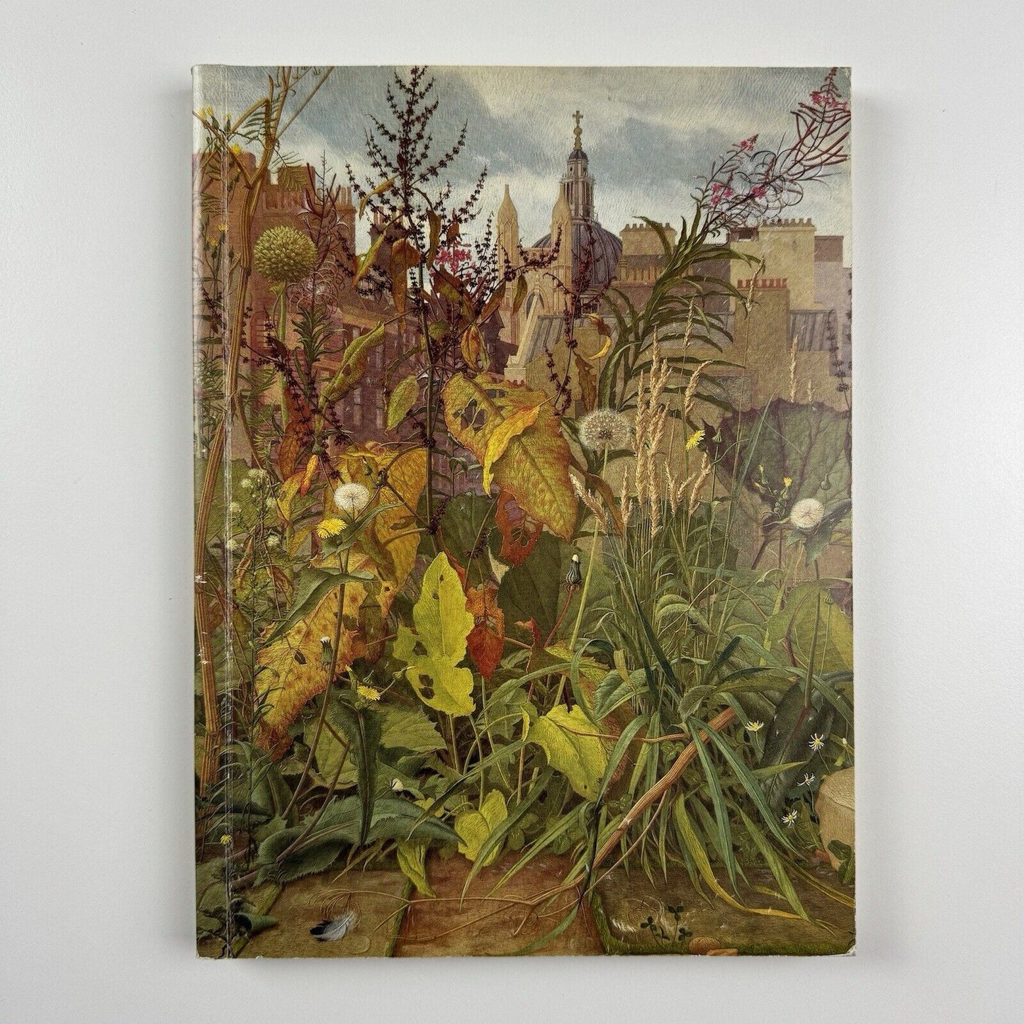 Eliot Hodgkin 1905-1987. Painter & Collector Hazlitt, Gooden & Fox 1990