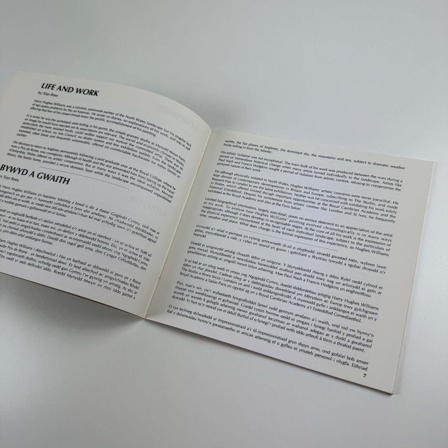 Harry Hughes Williams | Oriel Ynys Môn, 1992