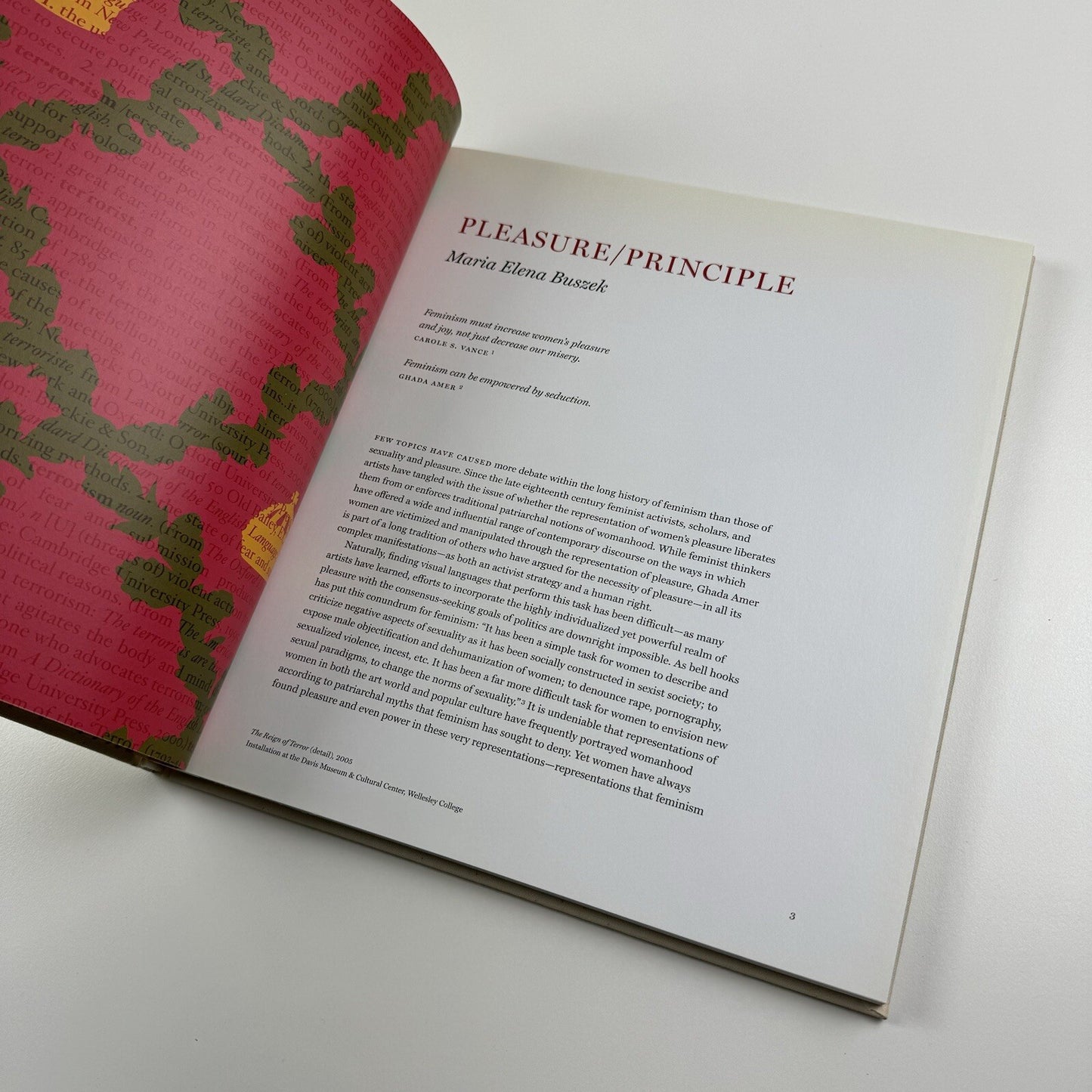 Ghada Amer. Breathe Into Me | Gagosian New York exhibition catalogue, 2006