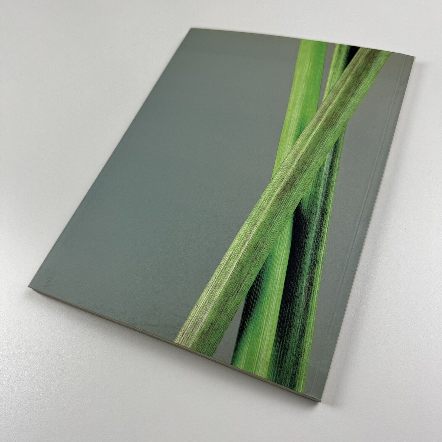 Bill Beckley | Galerie Hans Meyer exhibition catalogue, 2003