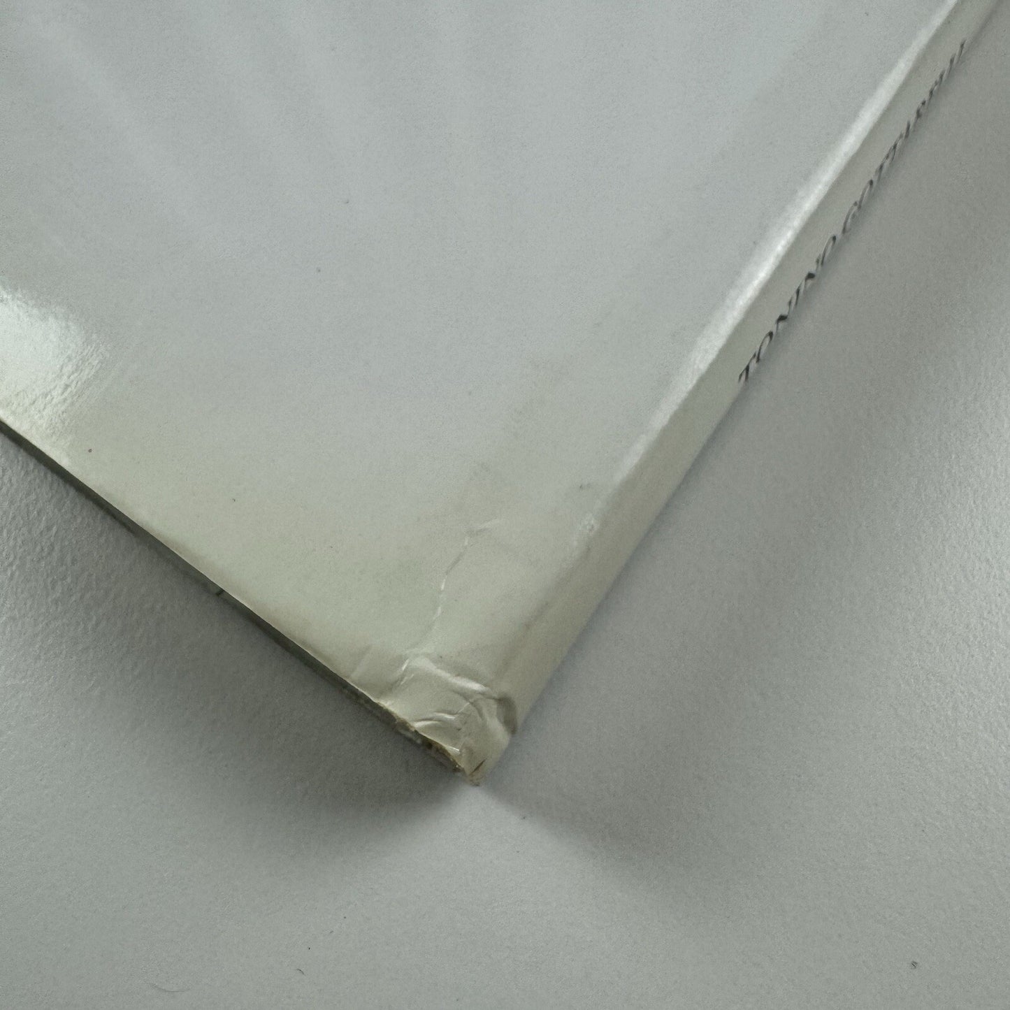 Tonino Gottarelli: La poesia si fa immagine | Pinacoteca Comunale exhibition catalogue, 2000