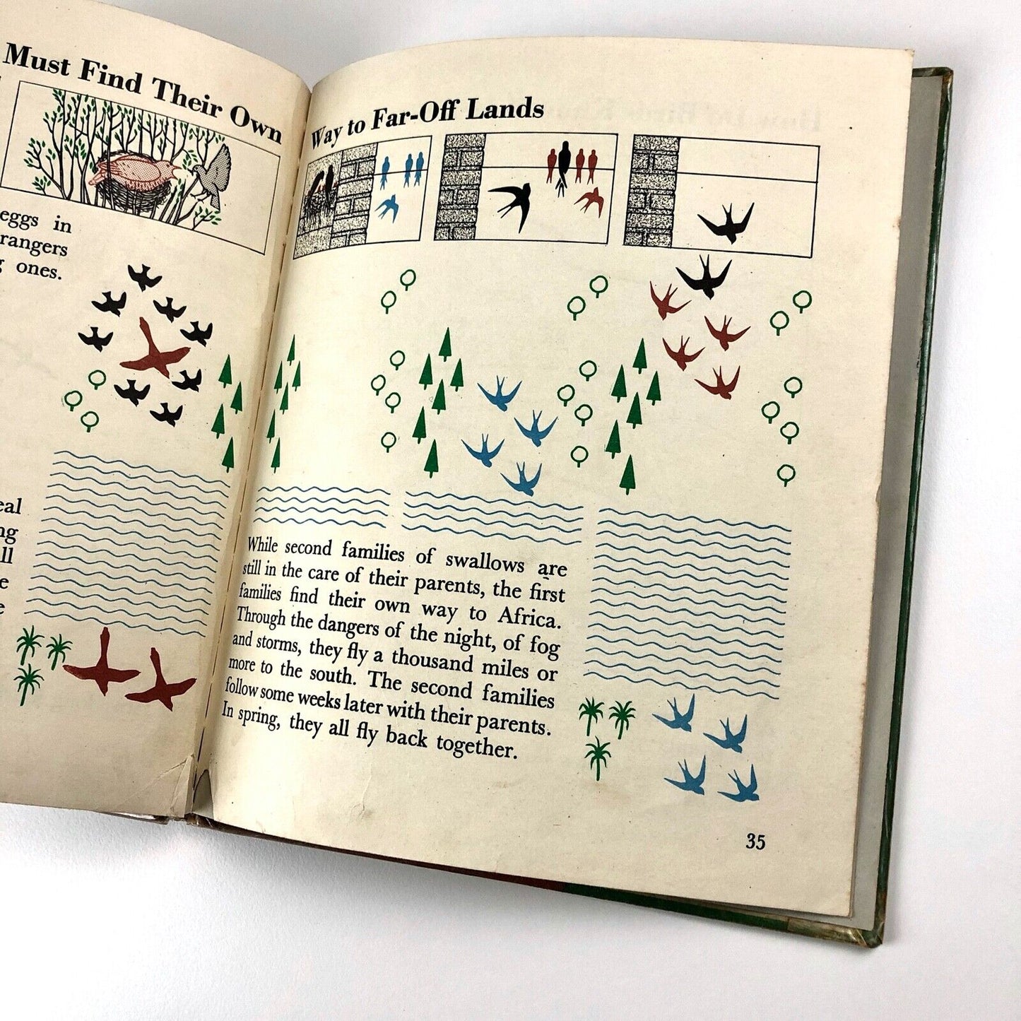 The Wonder World of Nature: Animal Travellers | Marie Neurath / Isotype 1959