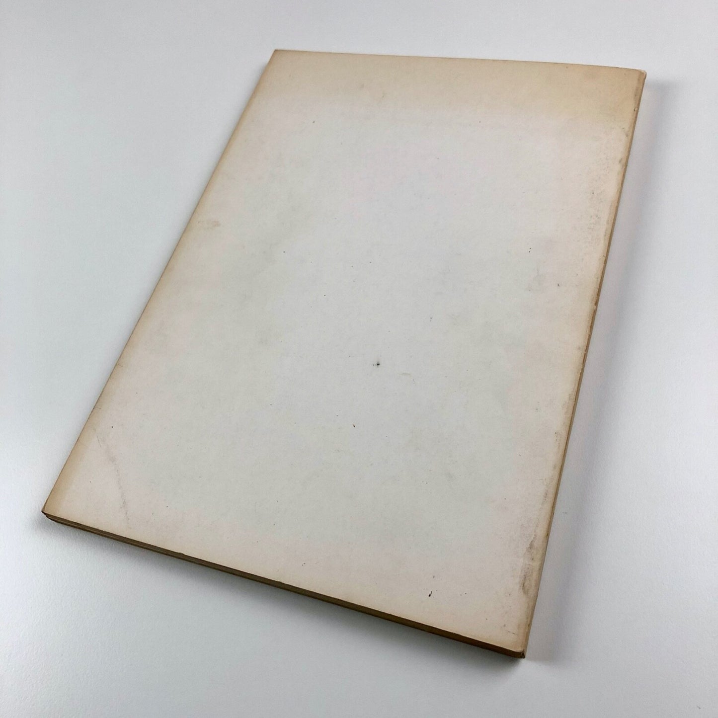 Robyn Denny exhibition catalogue | Tate Gallery March-April 1973