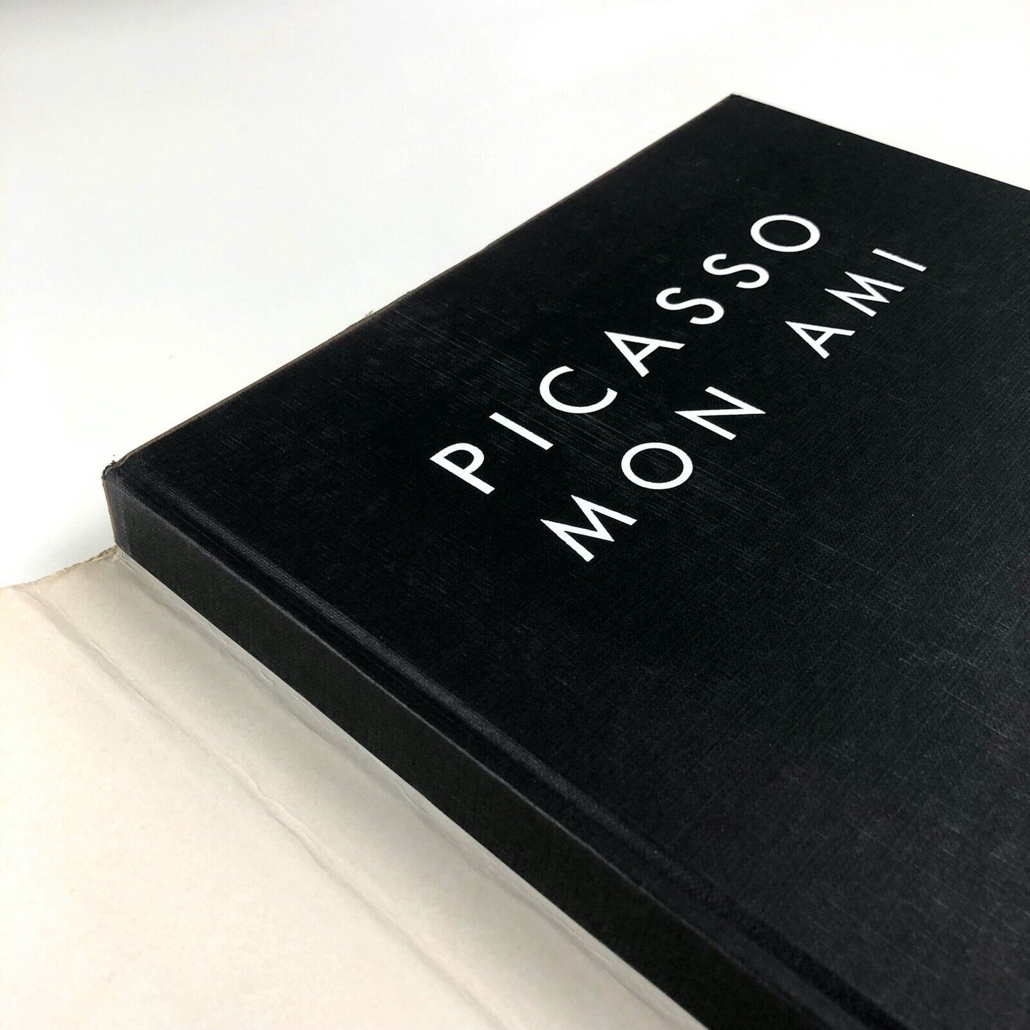 Picasso Mon Ami by Lucien Clergue | Editions Plume, 1993