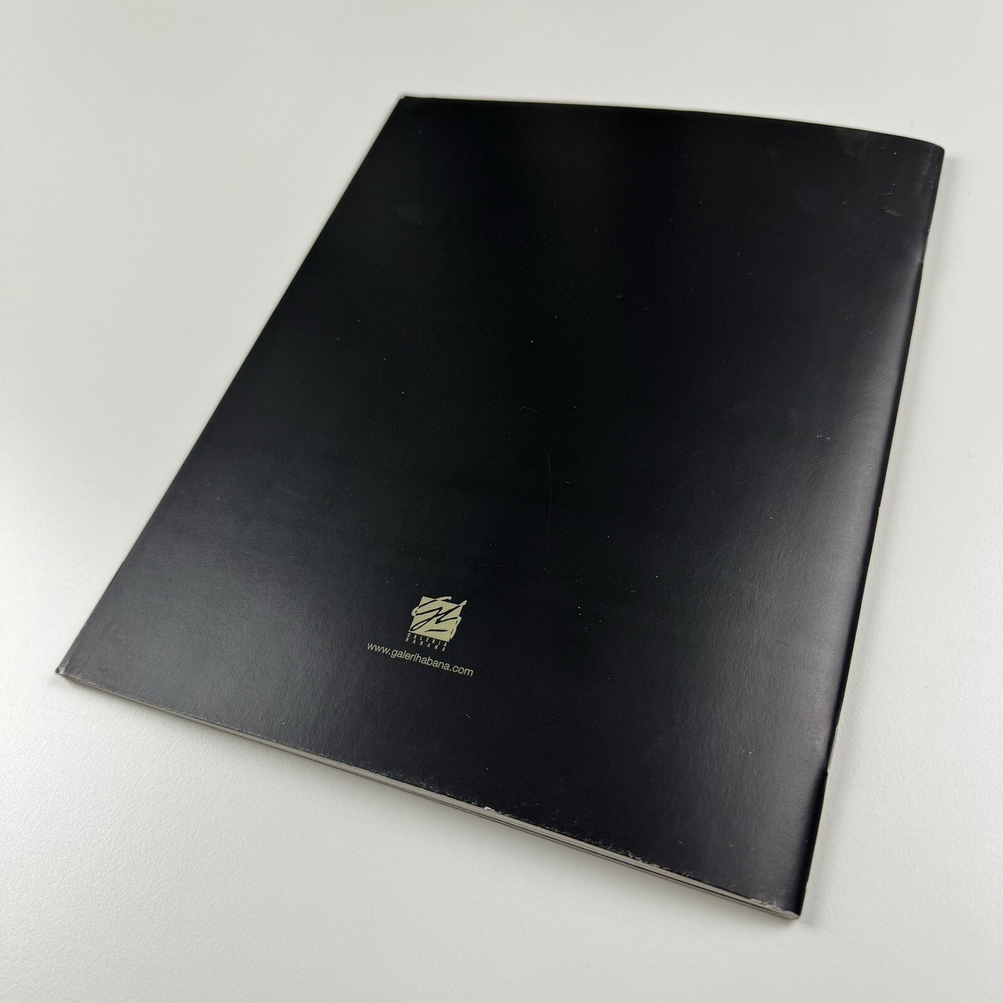 Ivan Capote – Aforismos | Galería Habana exhibition catalogue, 2007