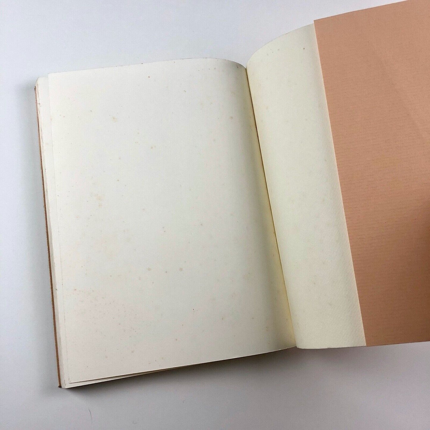 Giovanni Mardersteig: Stampatore, Editore, Umanista | Edizioni Valdonega, 1989
