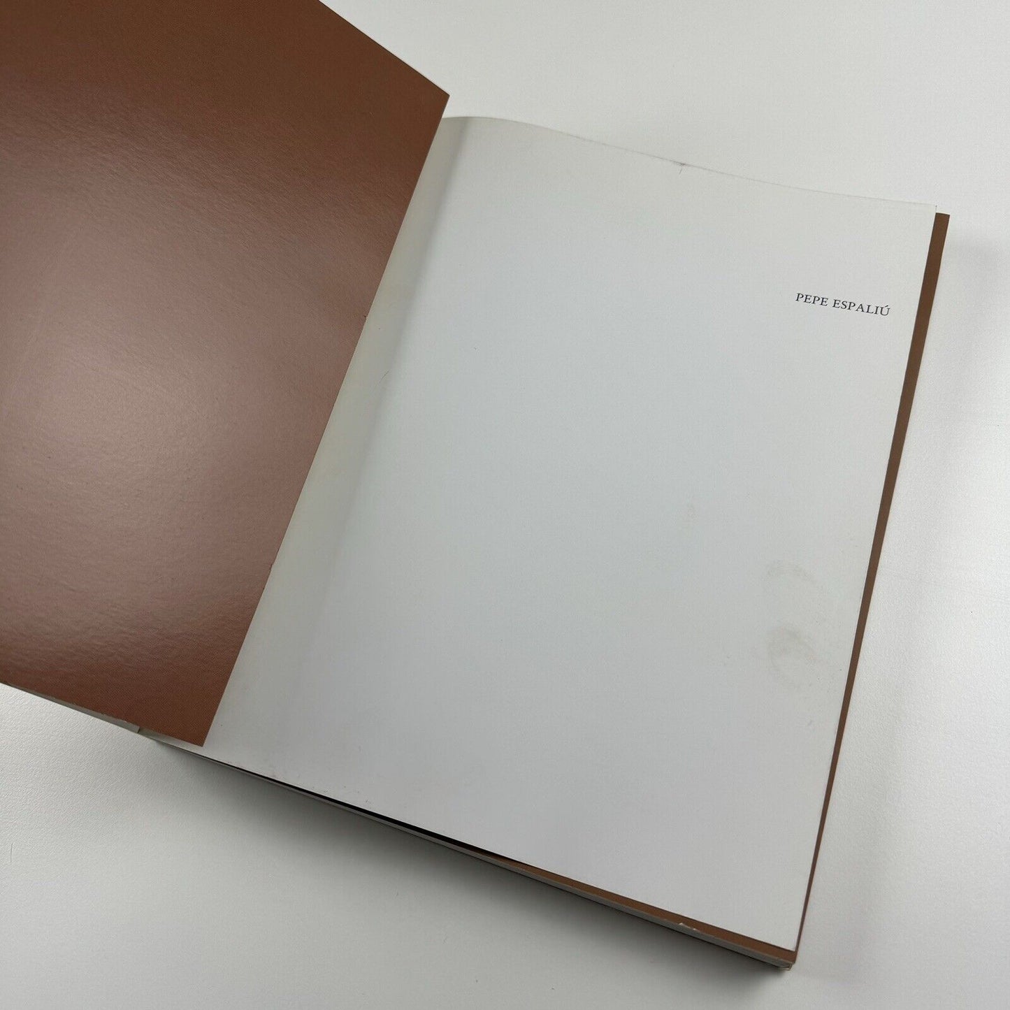 Pepe Espaliú. Artworks and Writings | Documenta Visual Arts Madrid 2007