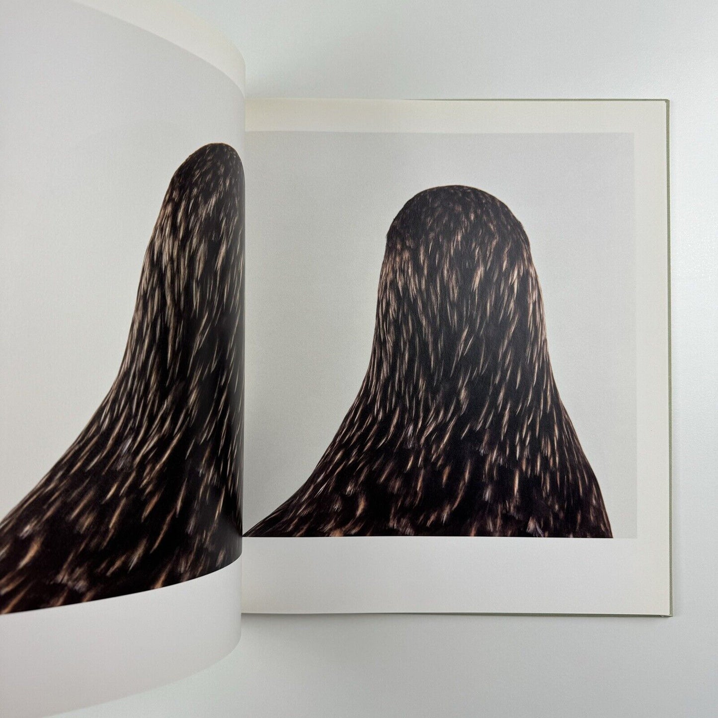 Bird. Roni Horn catalogue | Steidl Hauser & Wirth, London 2008