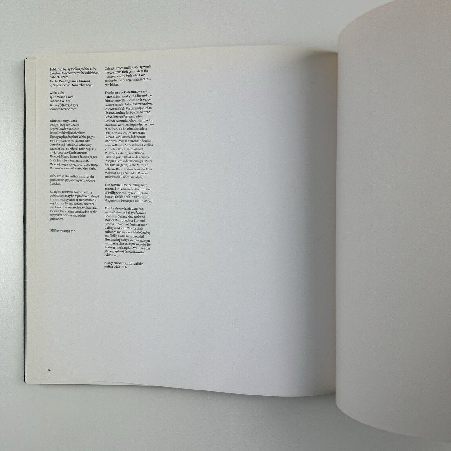 Gabriel Orozco. Twelve Paintings and a Drawing | White Cube, 2006