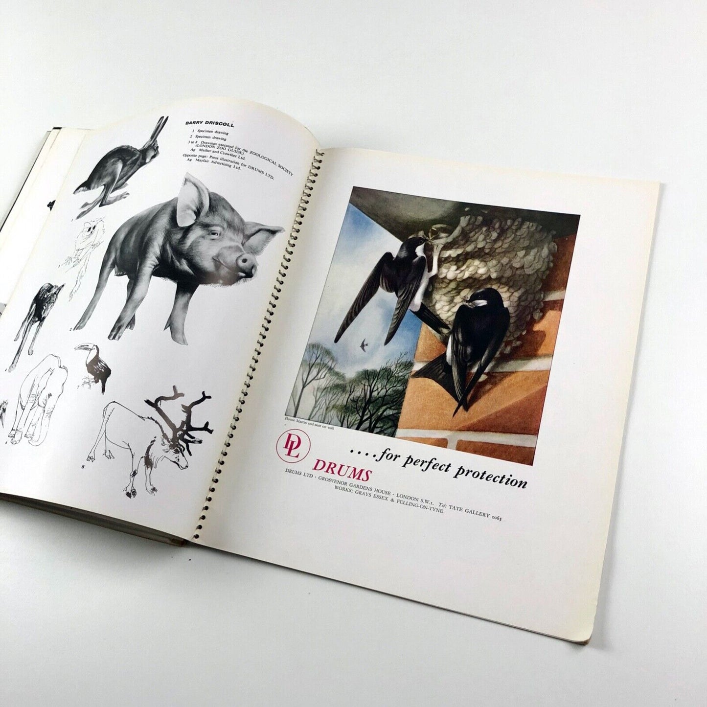 AP2 - Artist Partners | Wire-bound prospectus undated, presumably 1950s/1960s