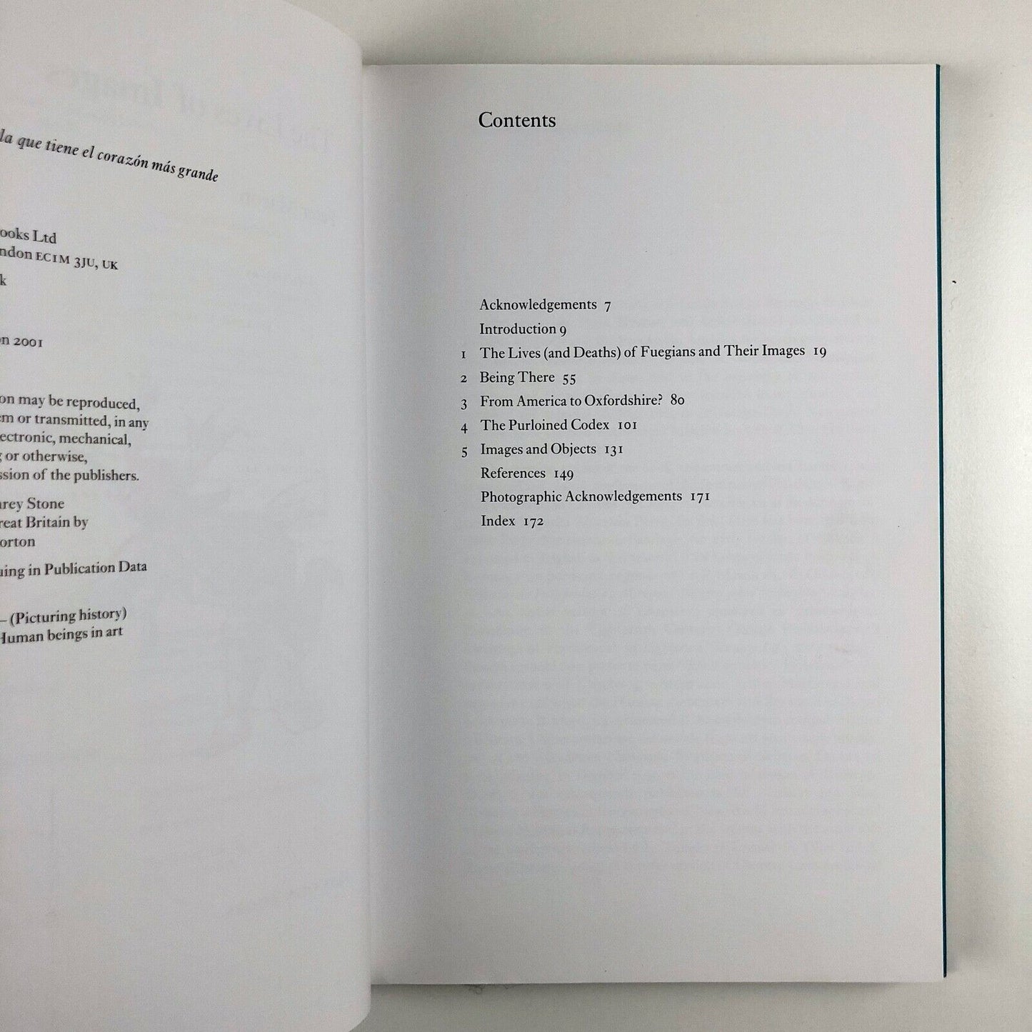 The Lives of Images by Peter Mason | Reaktion Books, 2001