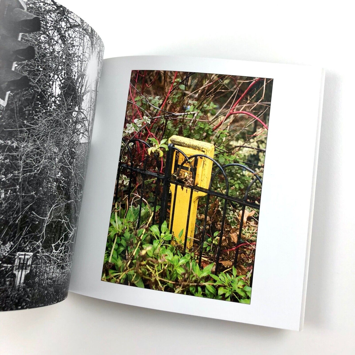 Hydrants: Signs Seen & Unseen | Michael Harvey | 47 Editions 2008