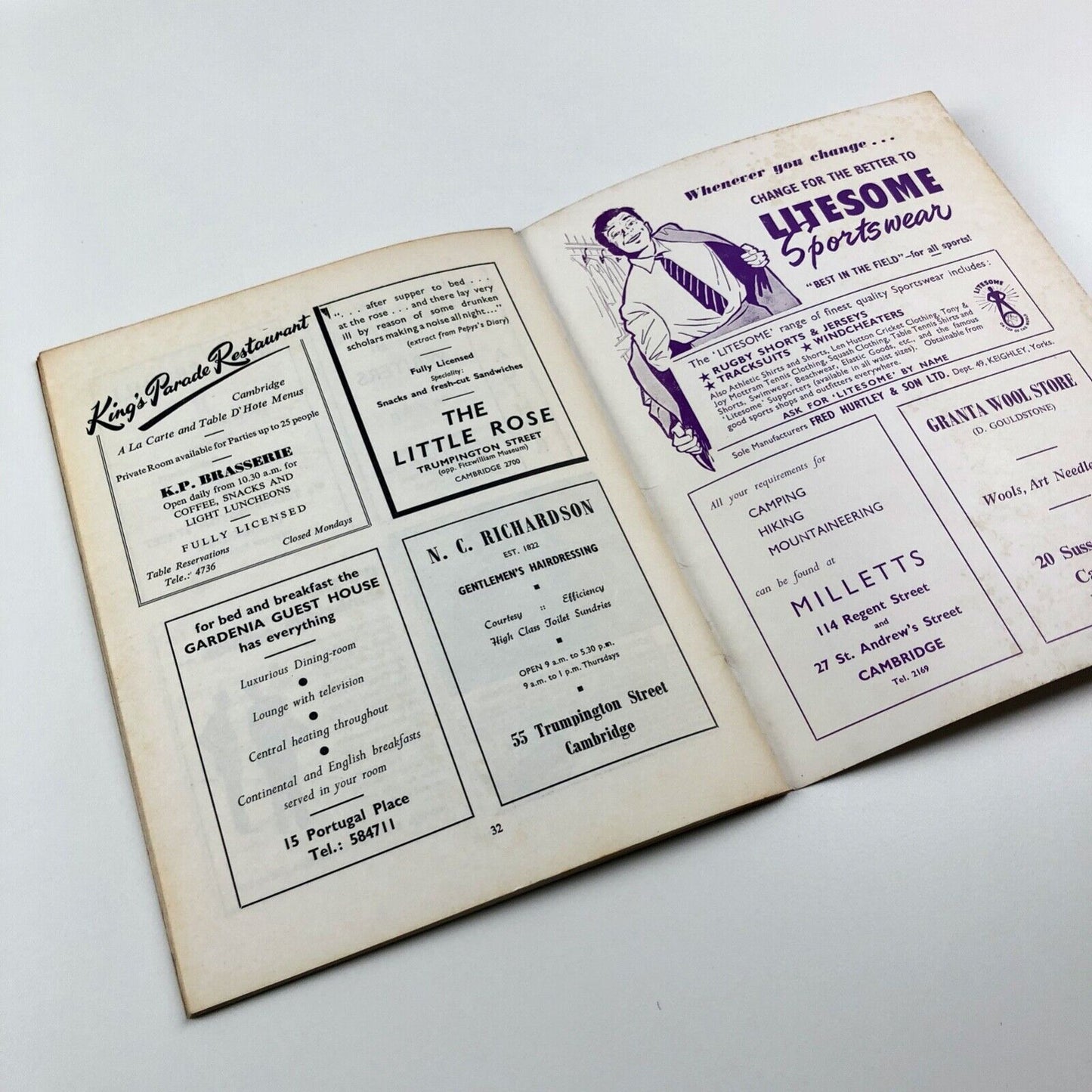 Cambridge Opinion magazine No. 14 | The writer out of society | Editor Elaine Feinstein