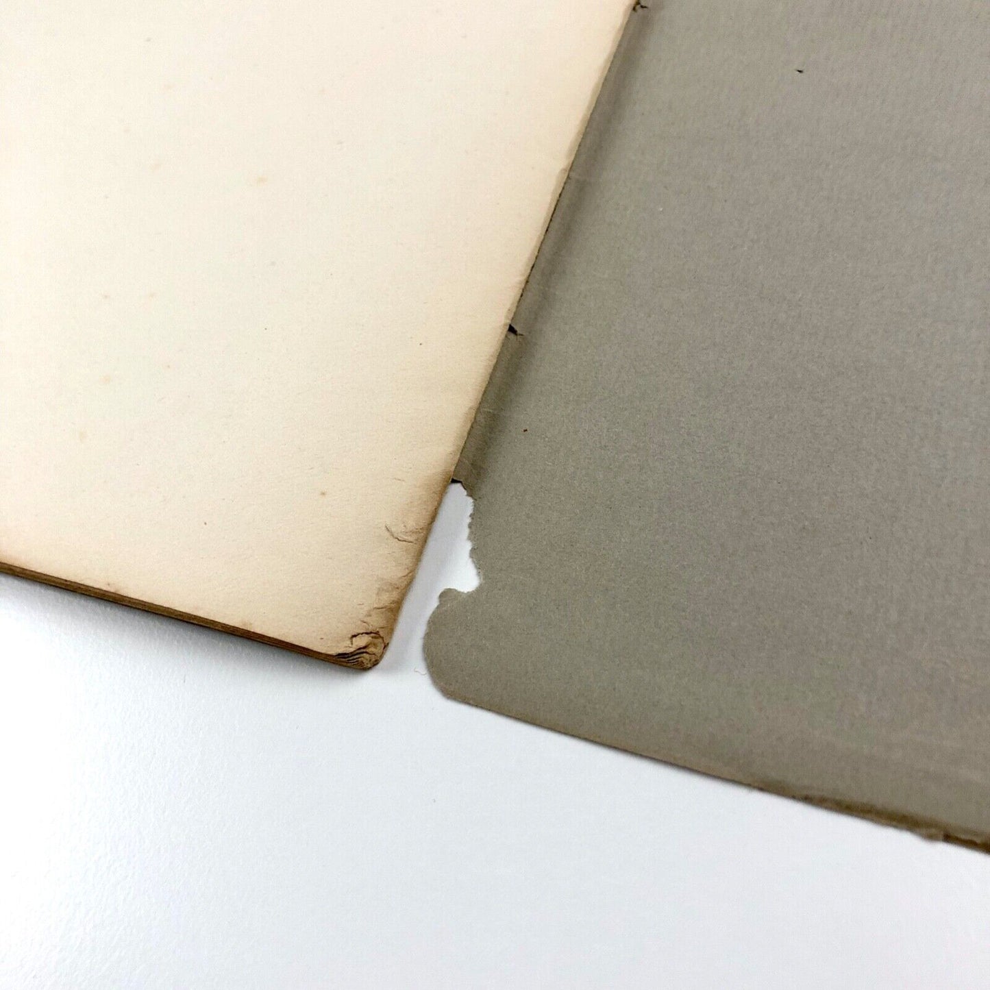 Monotype Flower Decorations type specimen booklet | Lanston Monotype, 1924