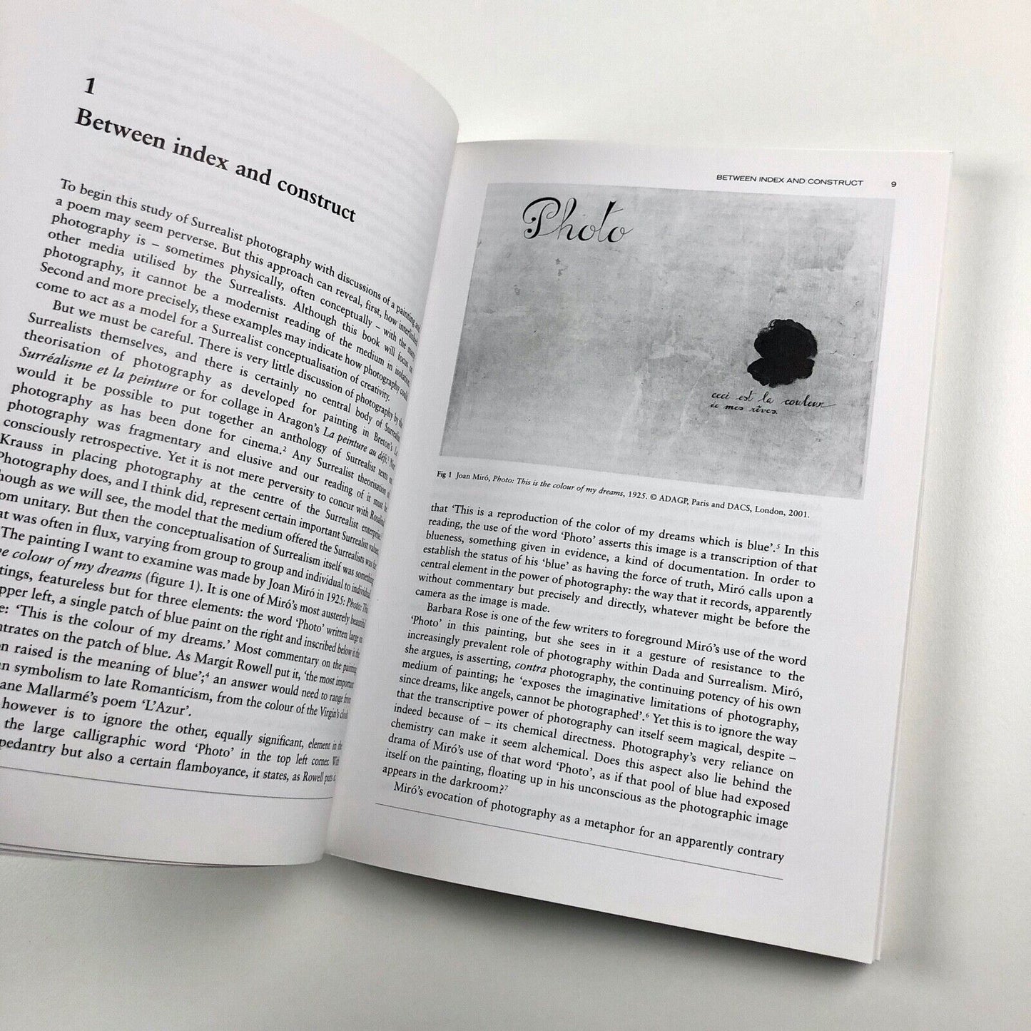 City Gorged With Dreams: Surrealism / Photography in ...Paris | Ian Walker, 2002