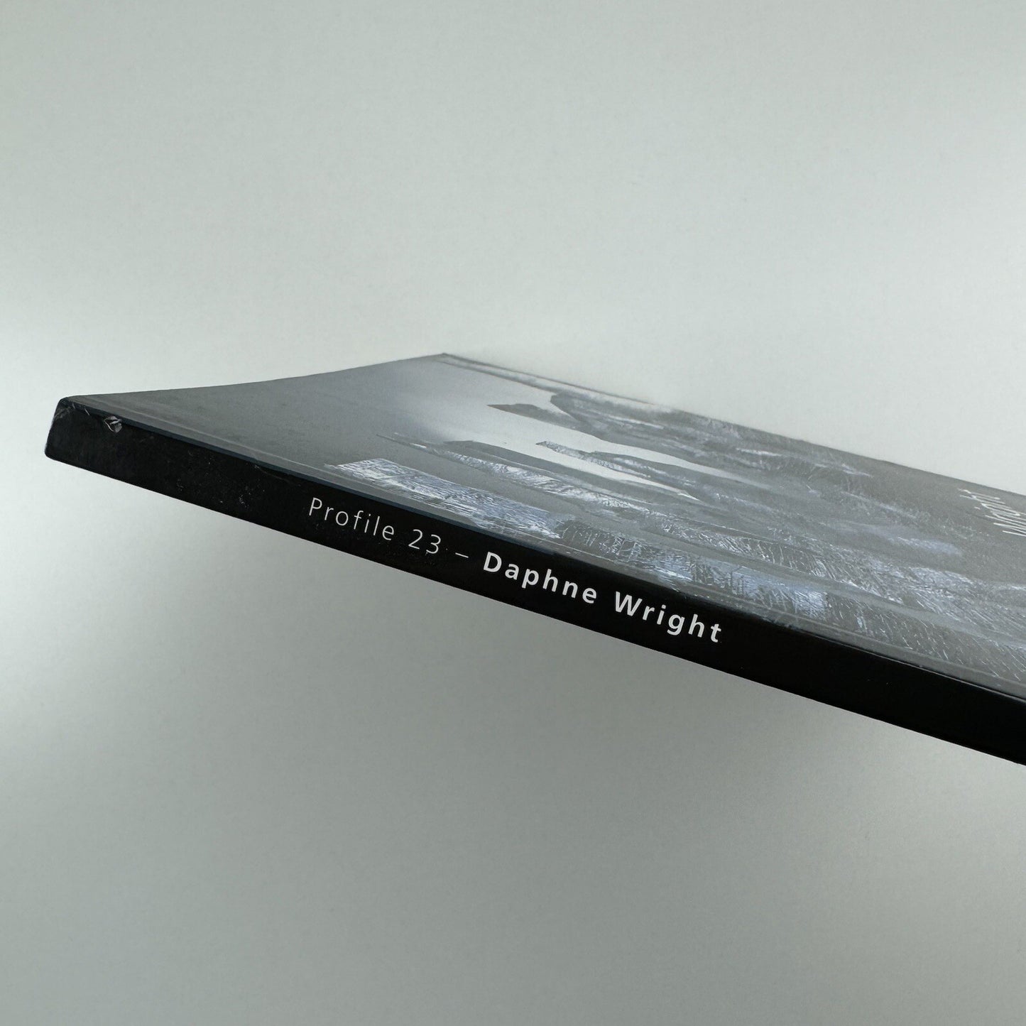 Profile 23. Daphne Wright | Limerick City Gallery of Art | Gandon Editions, 2006