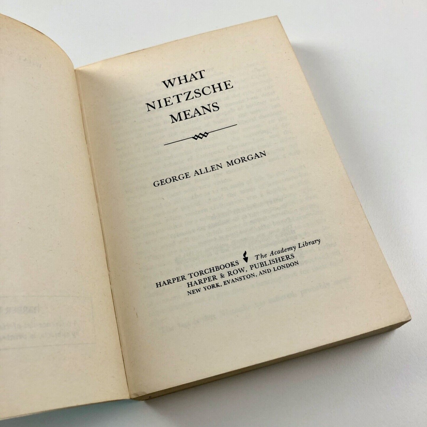What Nietzsche Means by George A. Morgan | Harper Torchbooks, 1965