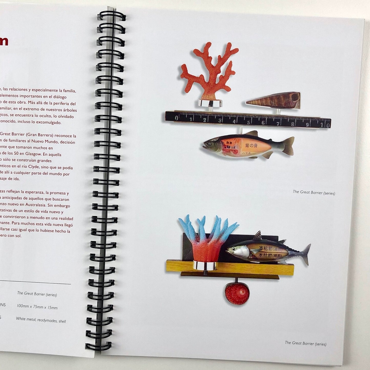 Paradigma – exhibition catalogue | Birmingham City Uni / Escola Massana 2009