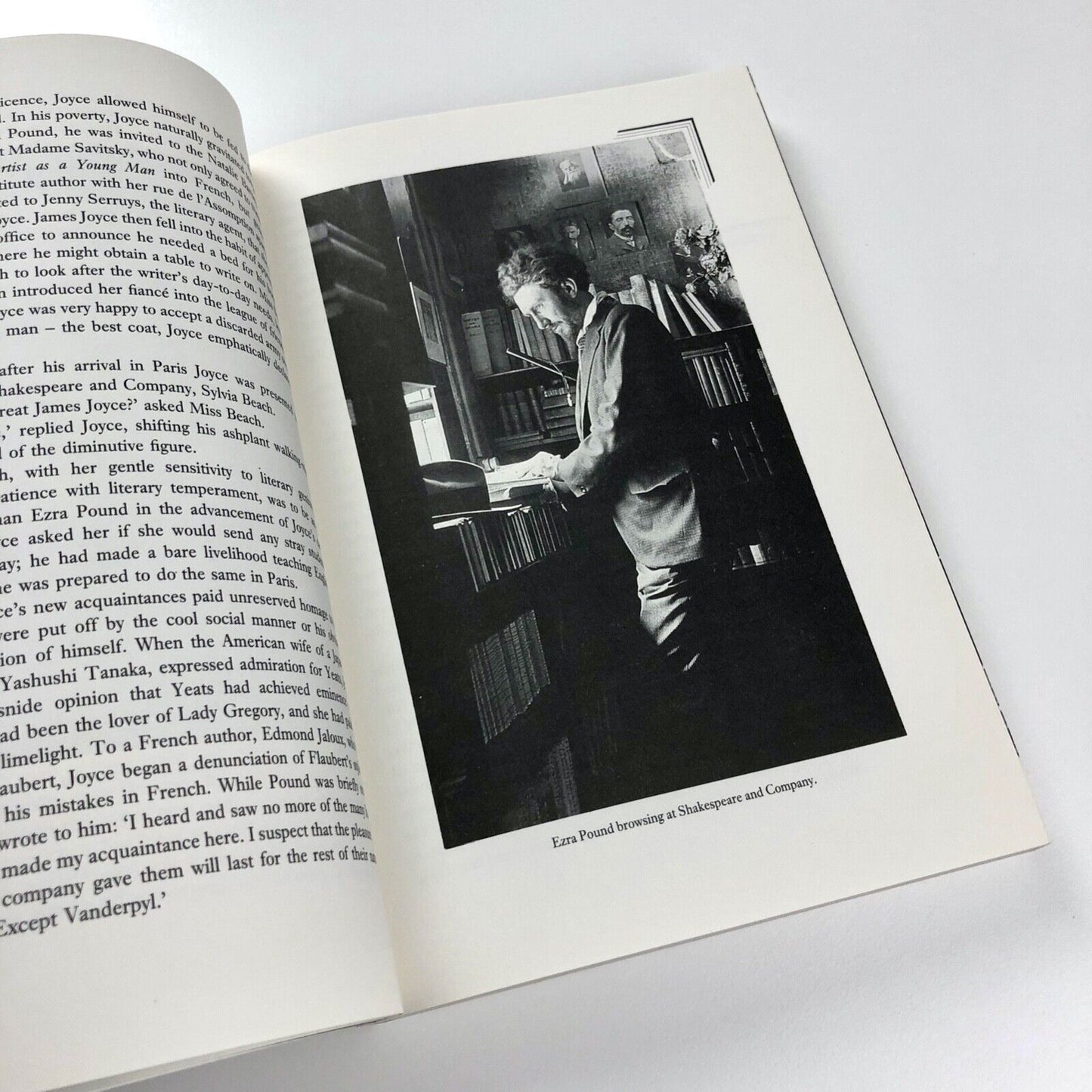The Crazy Years: Paris in the Twenties | William Wiser | Thames & Hudson, 1990