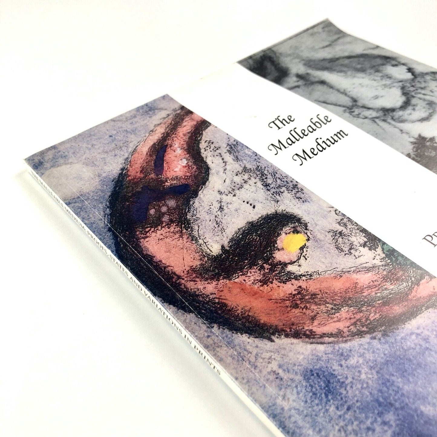 The Malleable Medium Proofs States & Variations in Prints | Theodore B. Donson, 1999