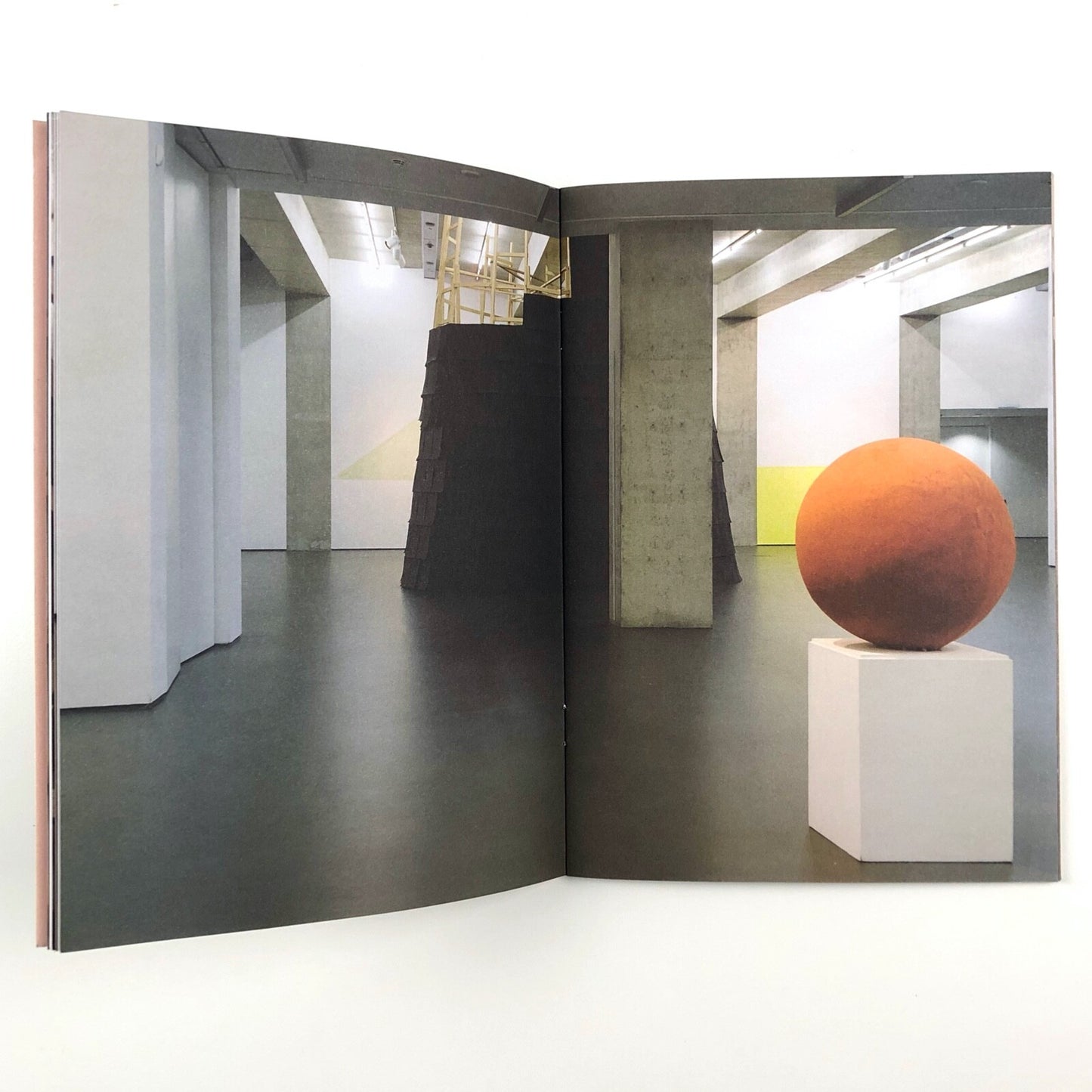 Dependent Rational Animals Roxy Walsh and Sally Underwood | Towner Gallery catalogue, 2013