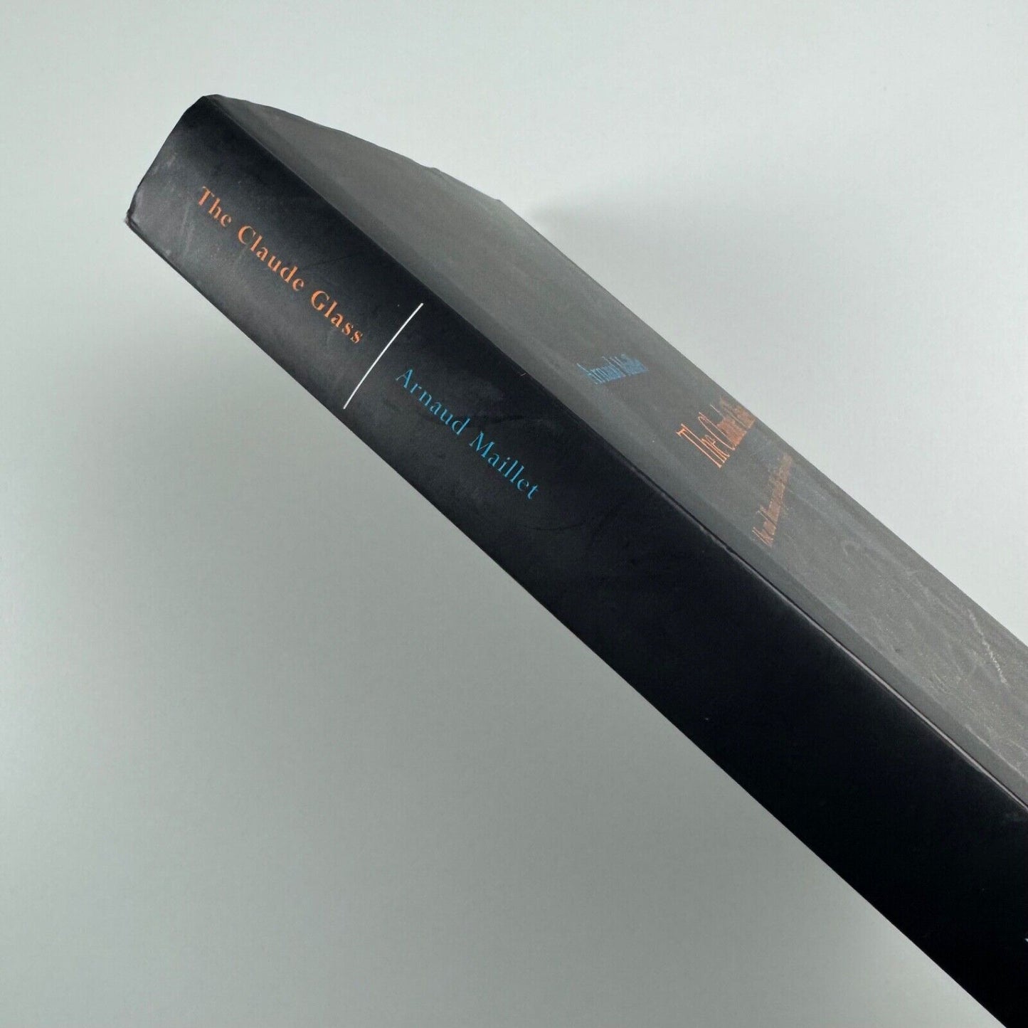 The Claude Glass Use and Meaning of the Black Mirror in Western Art by Arnaud Maillet | Zone Books, 2004