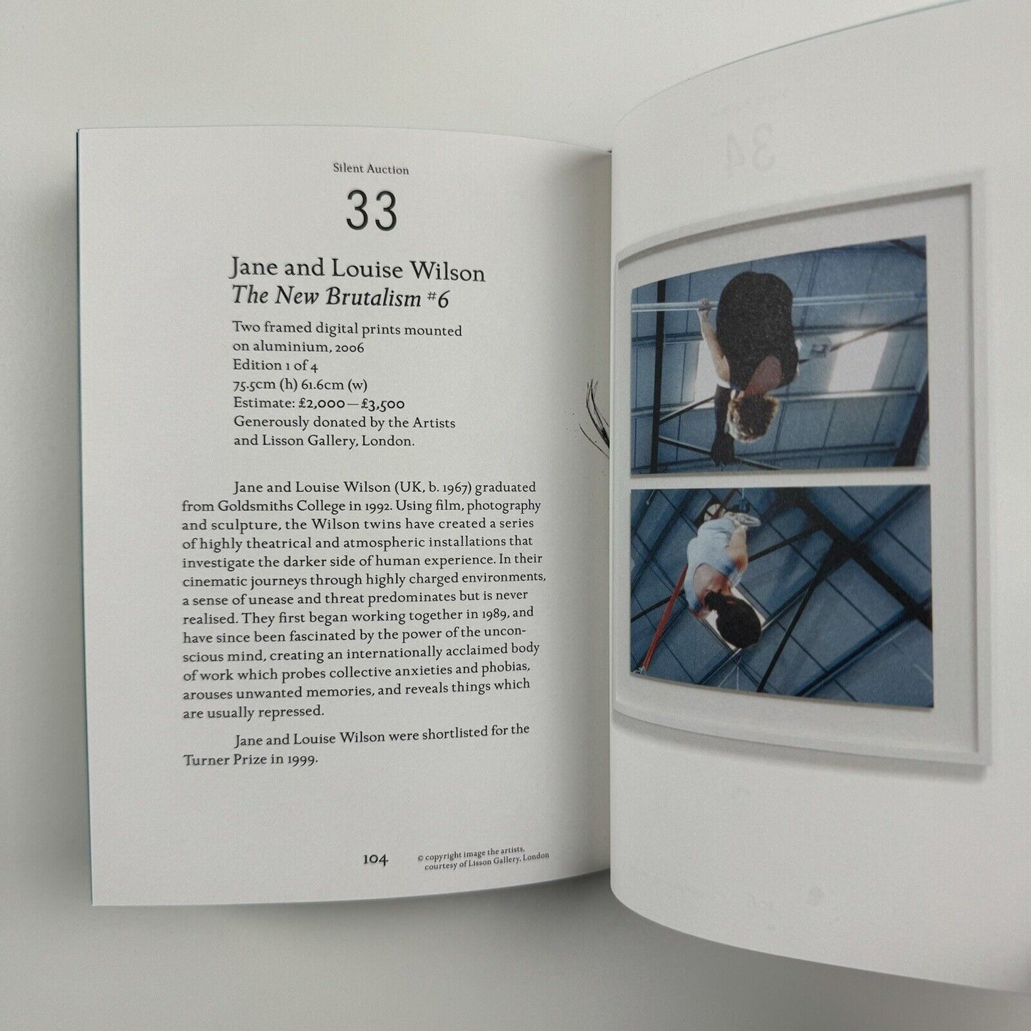 Gothic Auction Catalogue | Contemporary Art Society, London, 2009